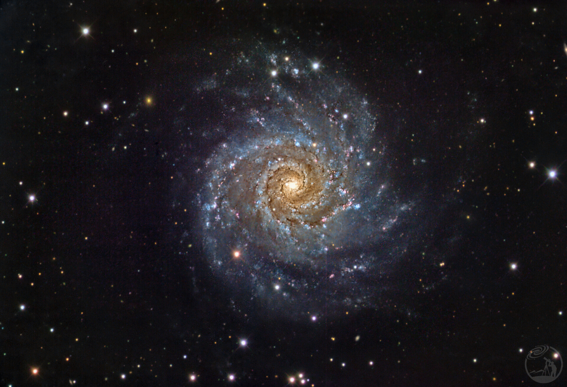M74