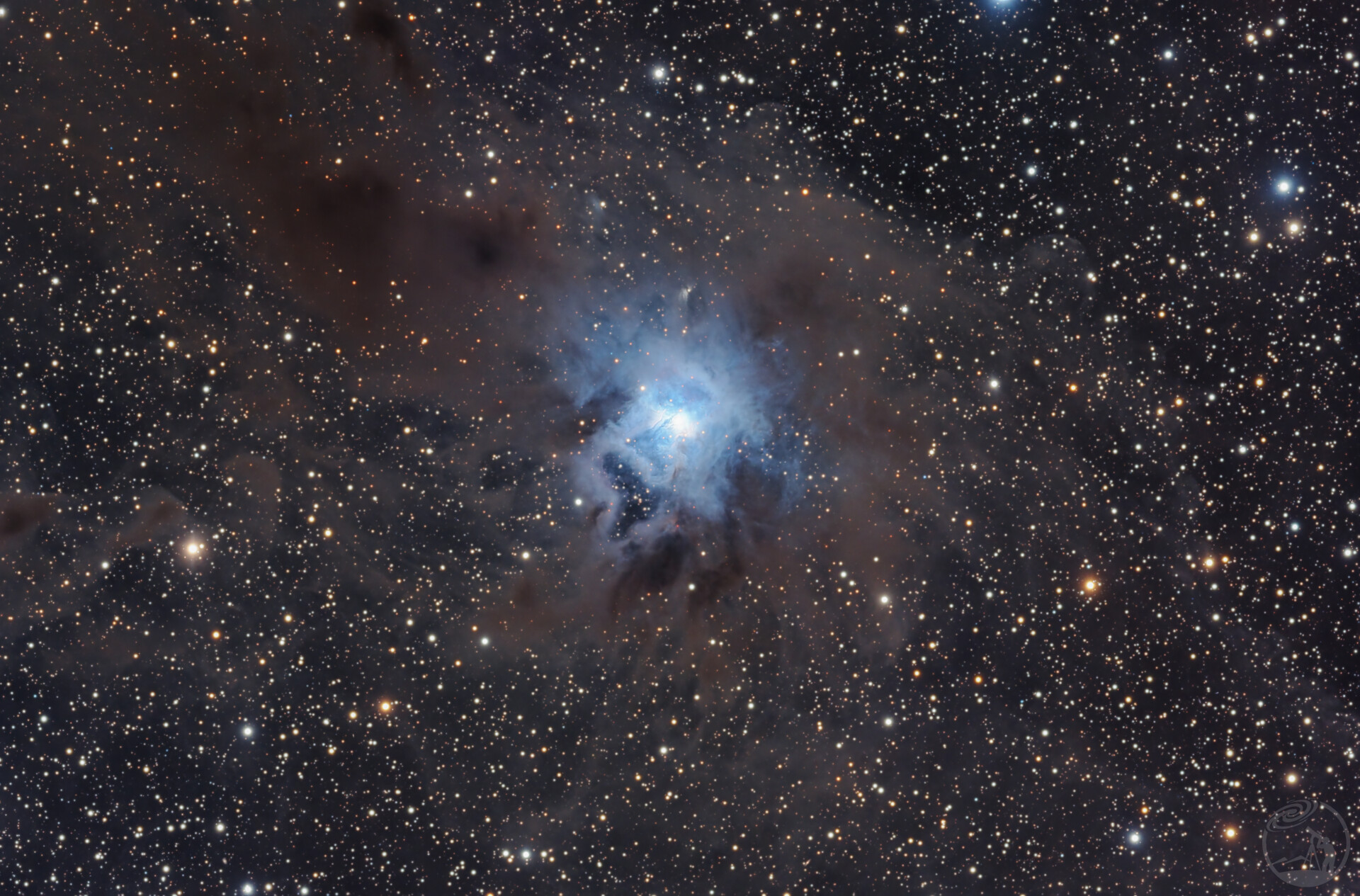 NGC7023鸢尾花