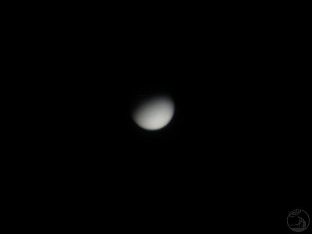 金星4.2