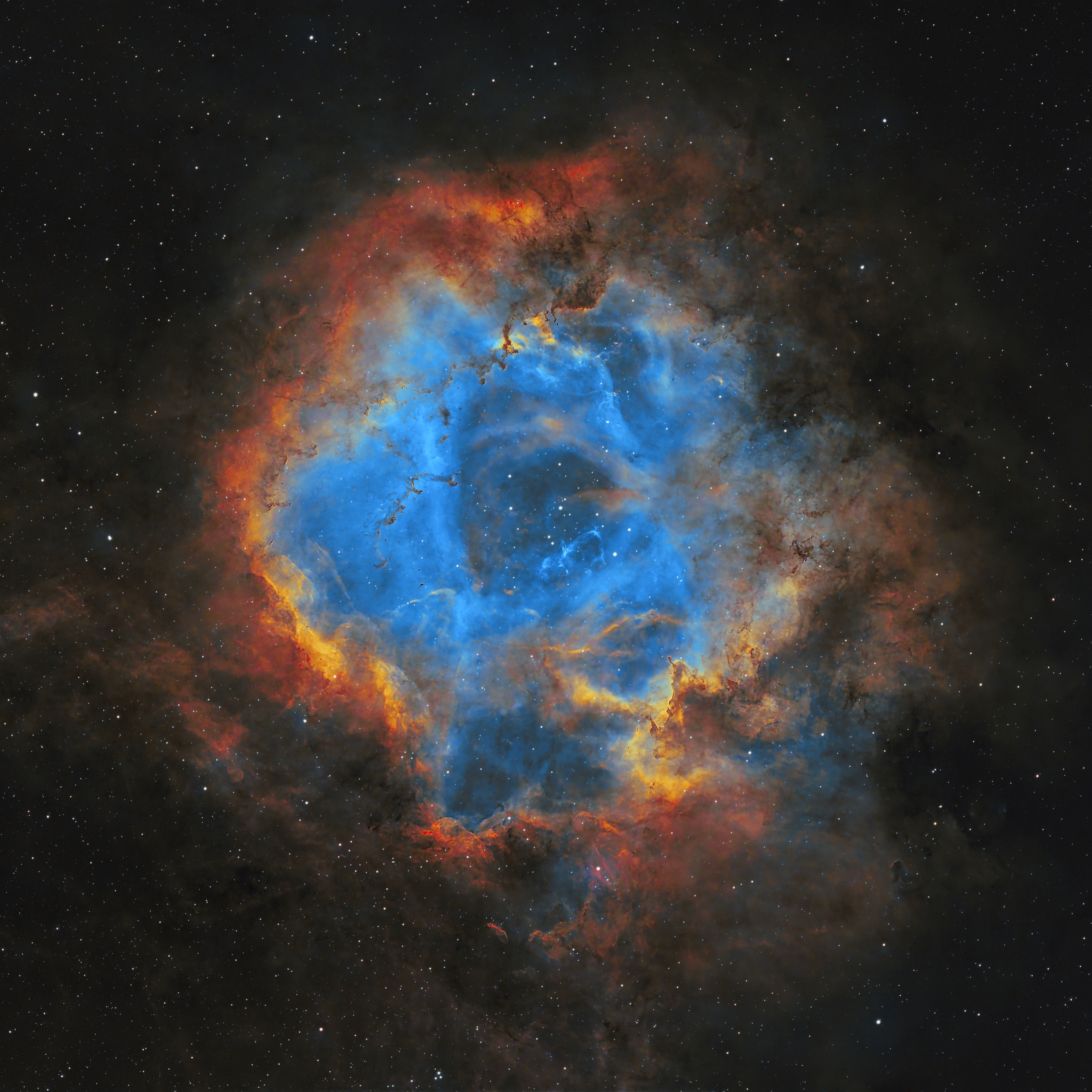 窄带三通道玫瑰