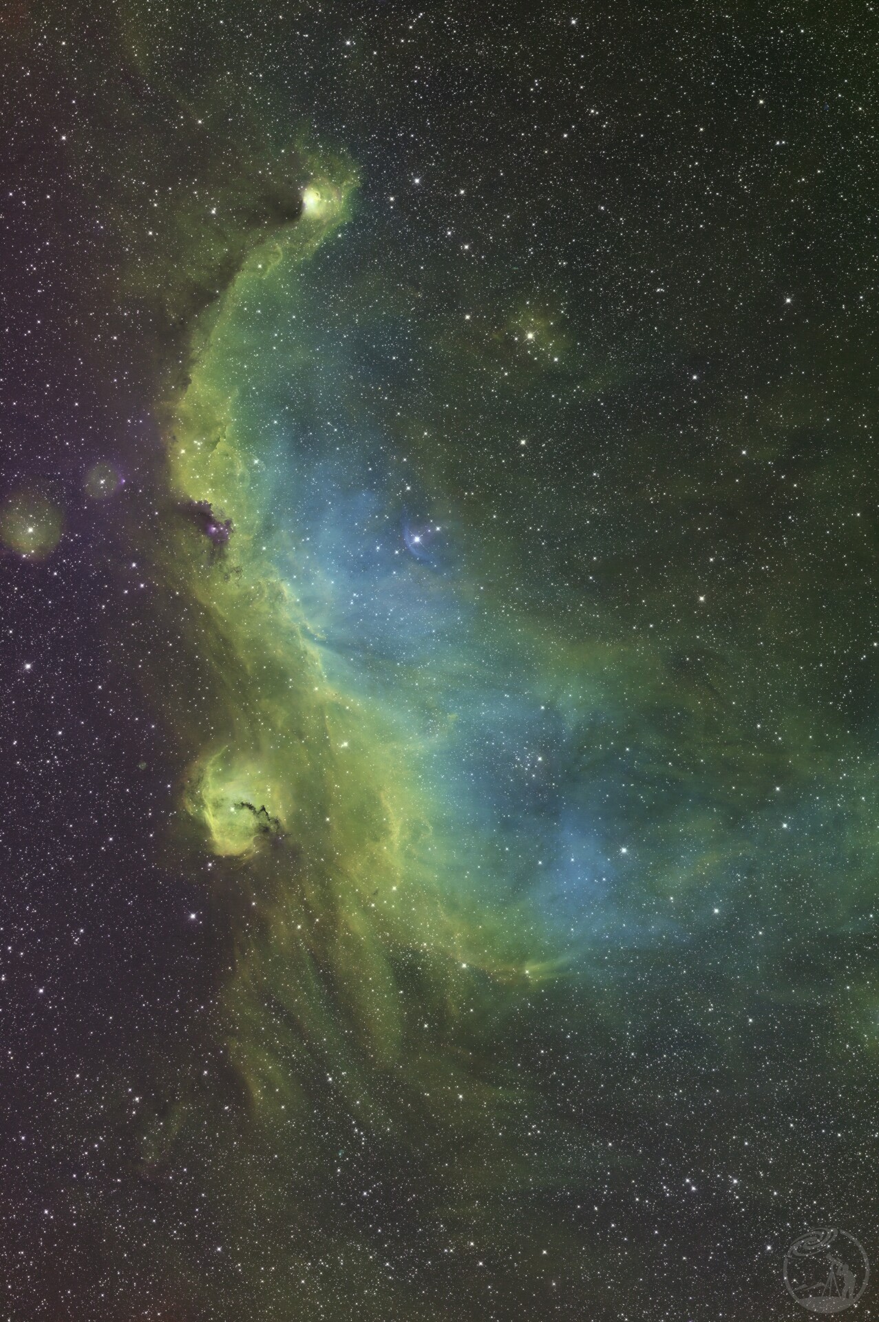 IC2177海鸥星云