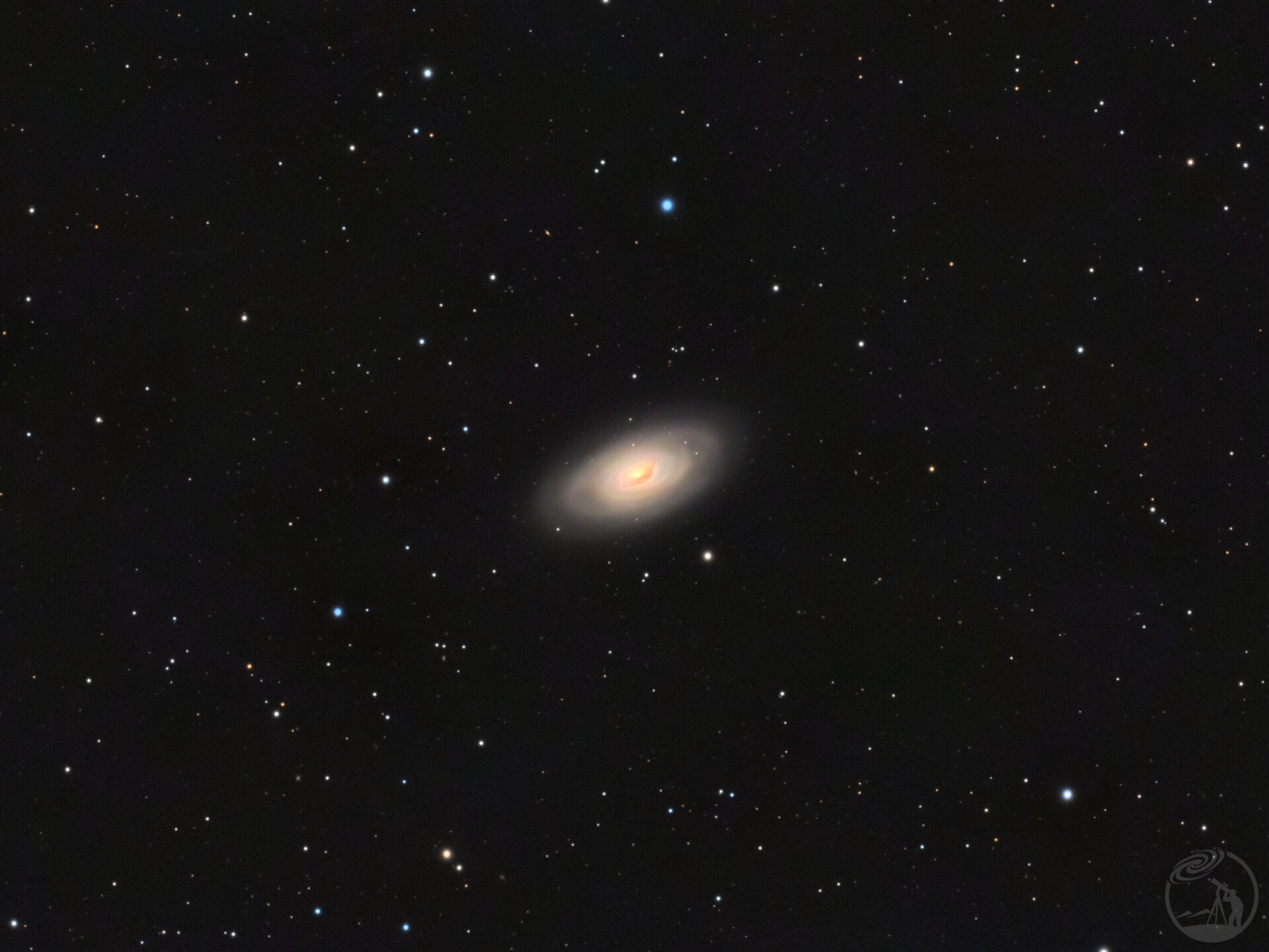 M64
