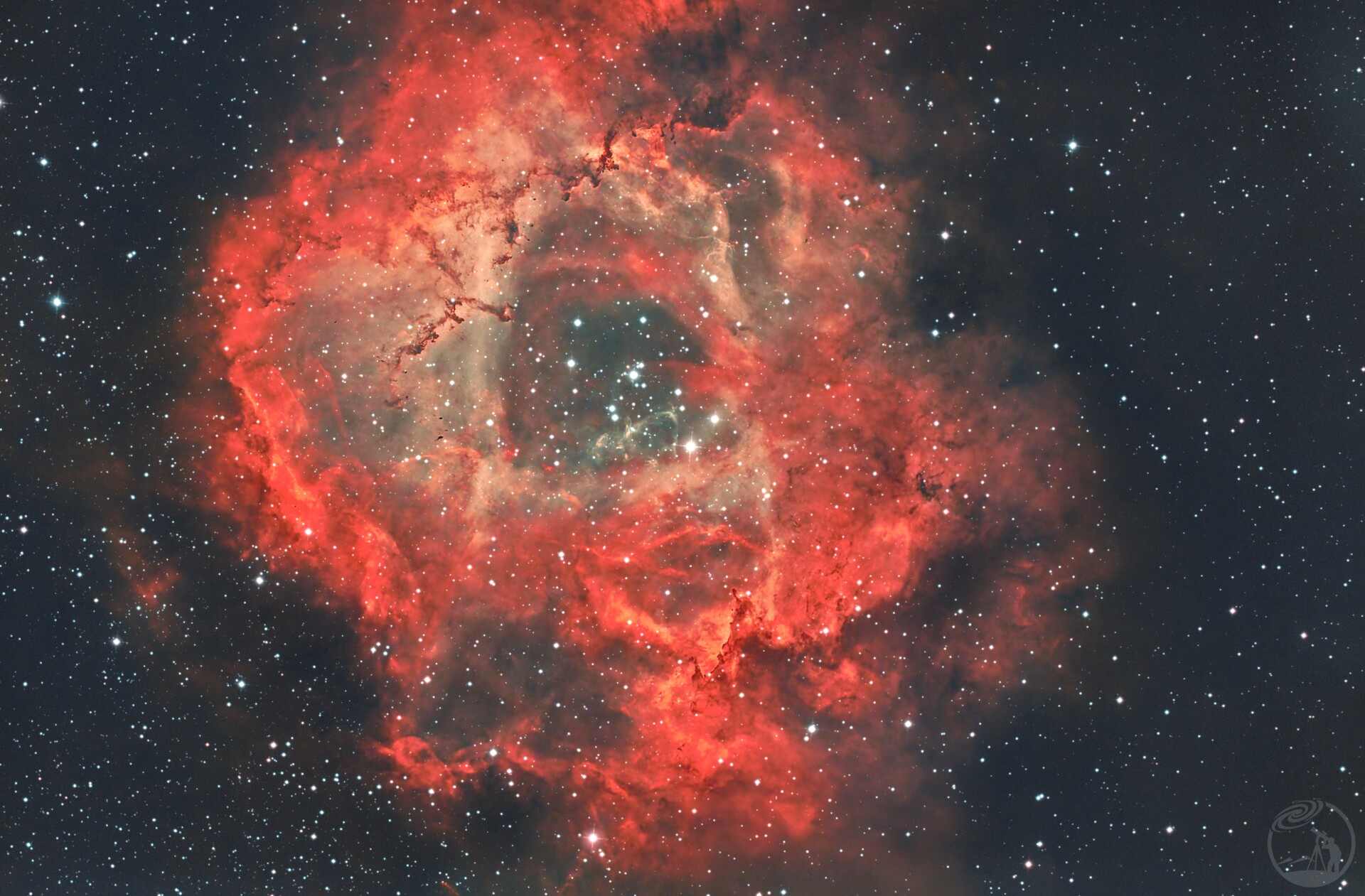 NGC2237 玫瑰星云