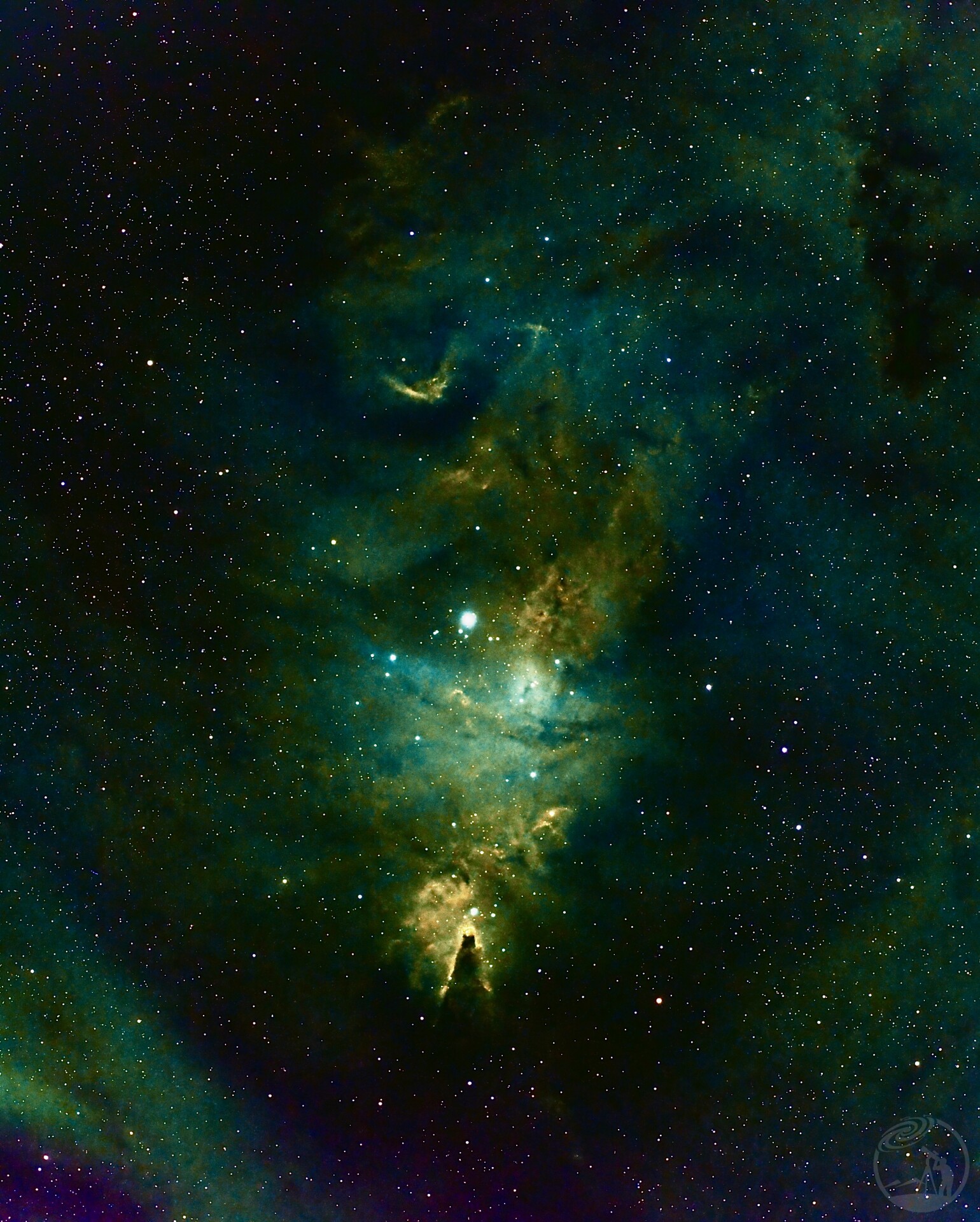 NGC2264