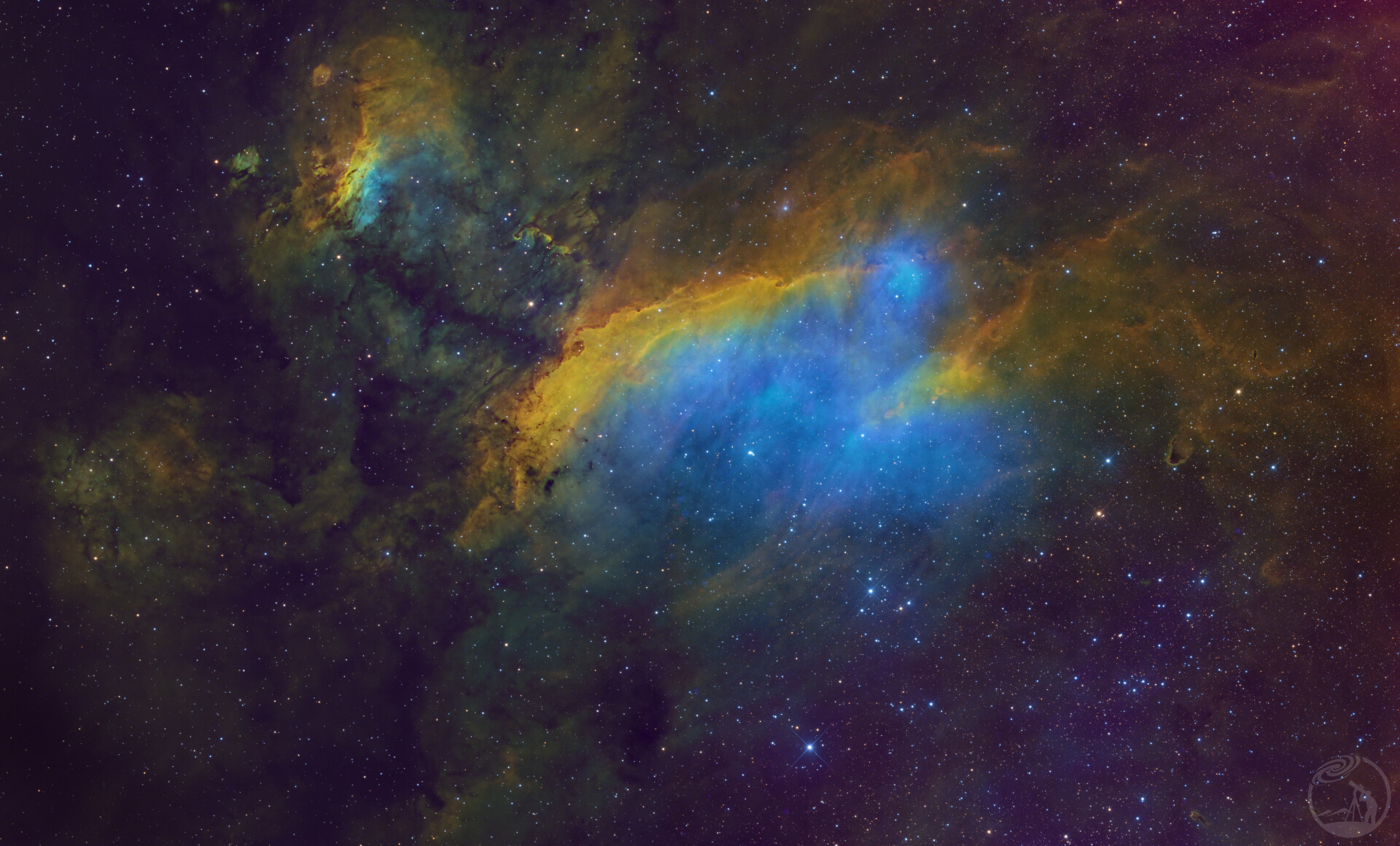 斑节虾星云