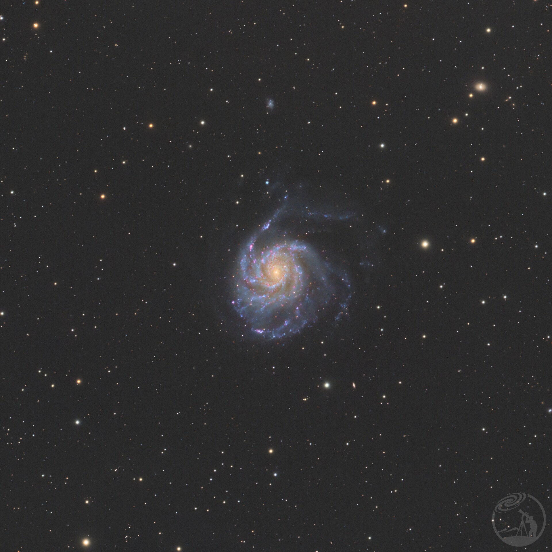 M101