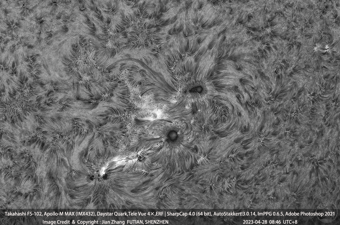 AR13285，13288黑子群