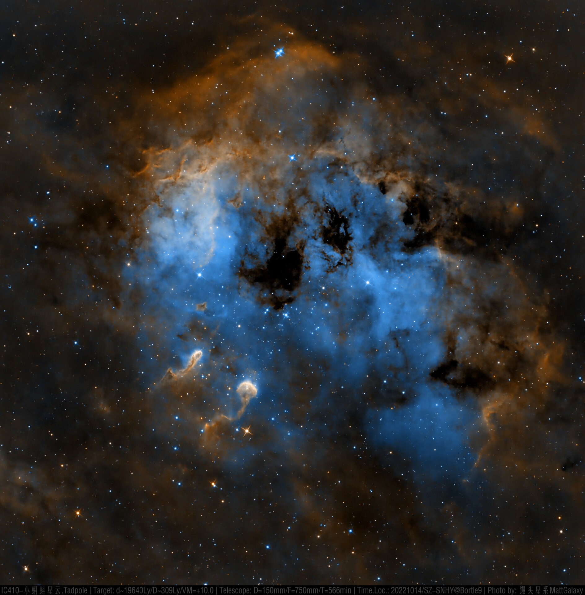 【9级深空系列】IC410-小蝌蚪星云.Tadpole（V2）