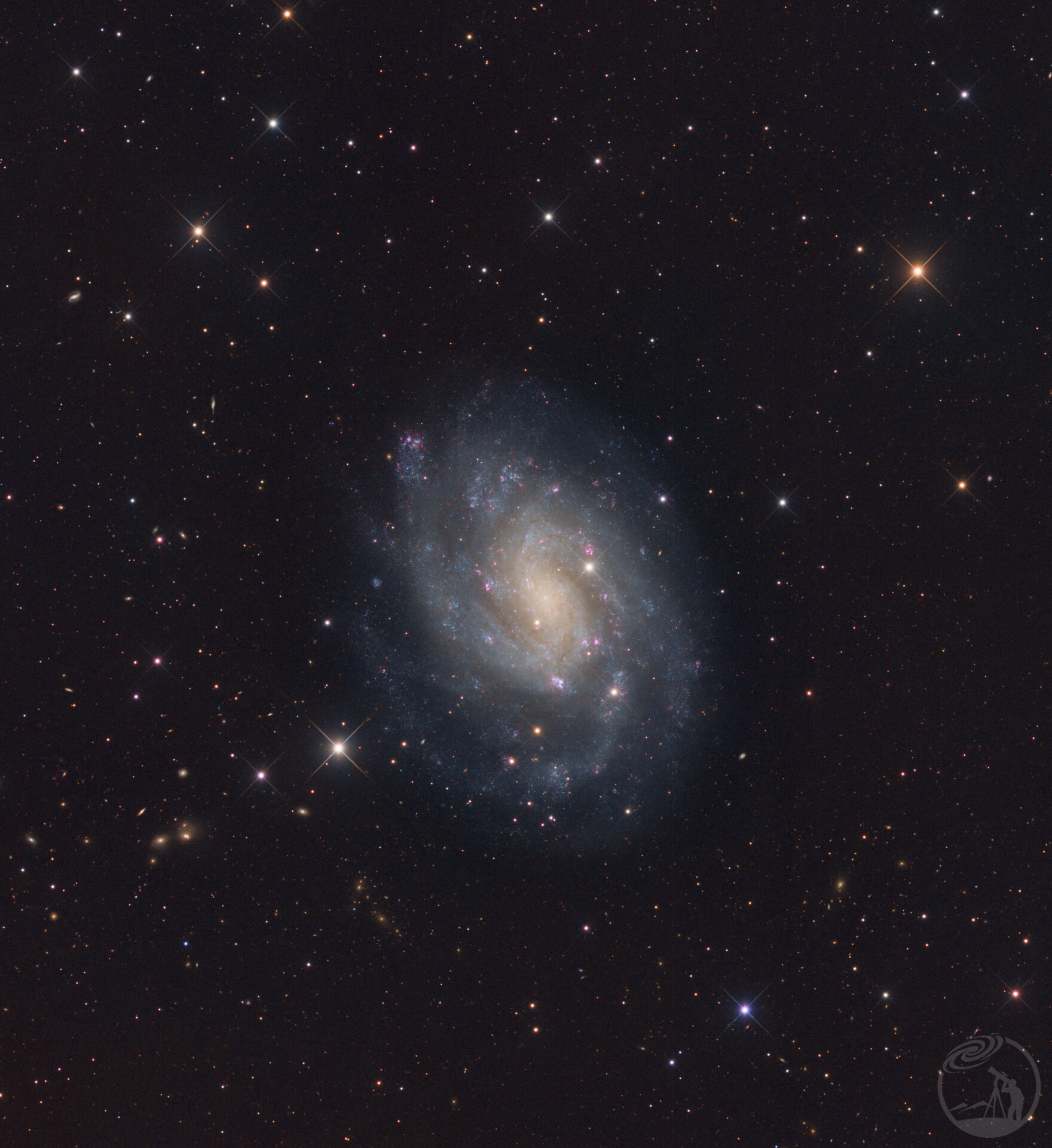 NGC300
