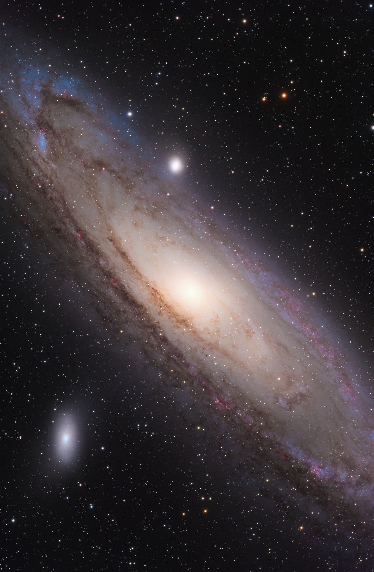 M31➕M33 黑区顶级组合快速购买链接立减 8 元赠送 6 套顶级练手素材