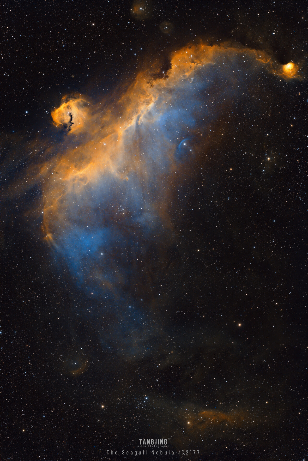 海鸥星云 The Seagull Nebula IC2177