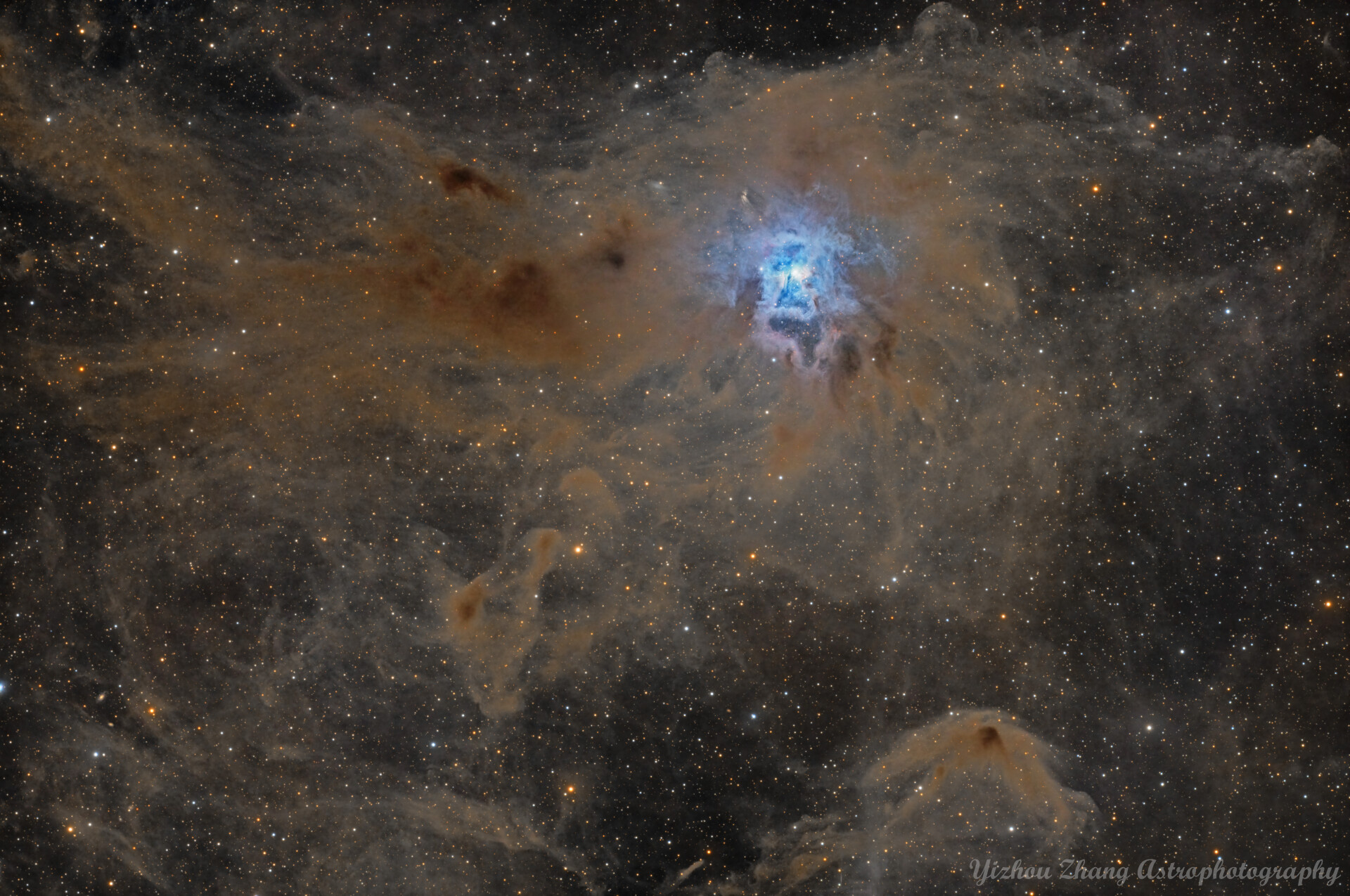 NGC 7023 - 鸢尾花星云