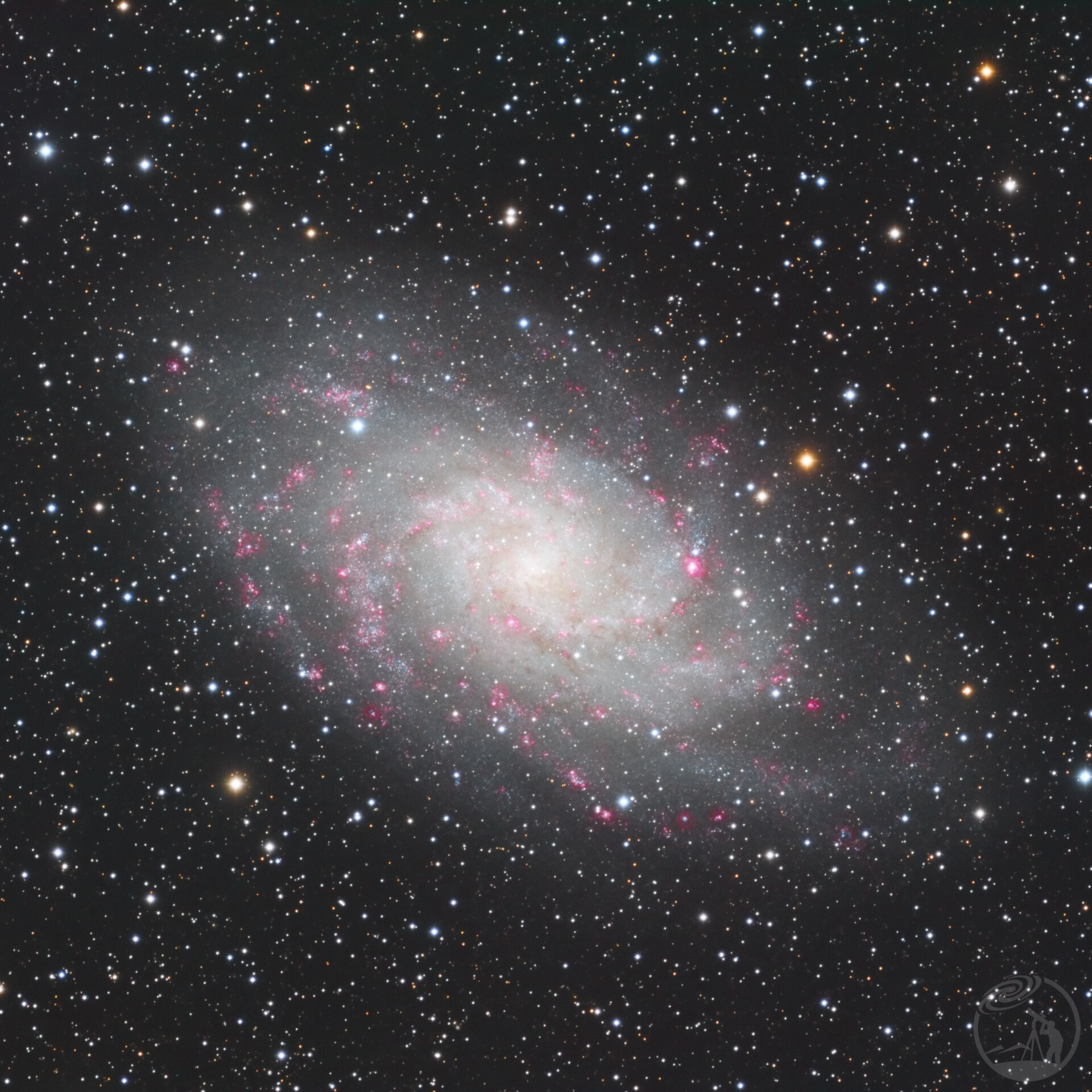 M33
