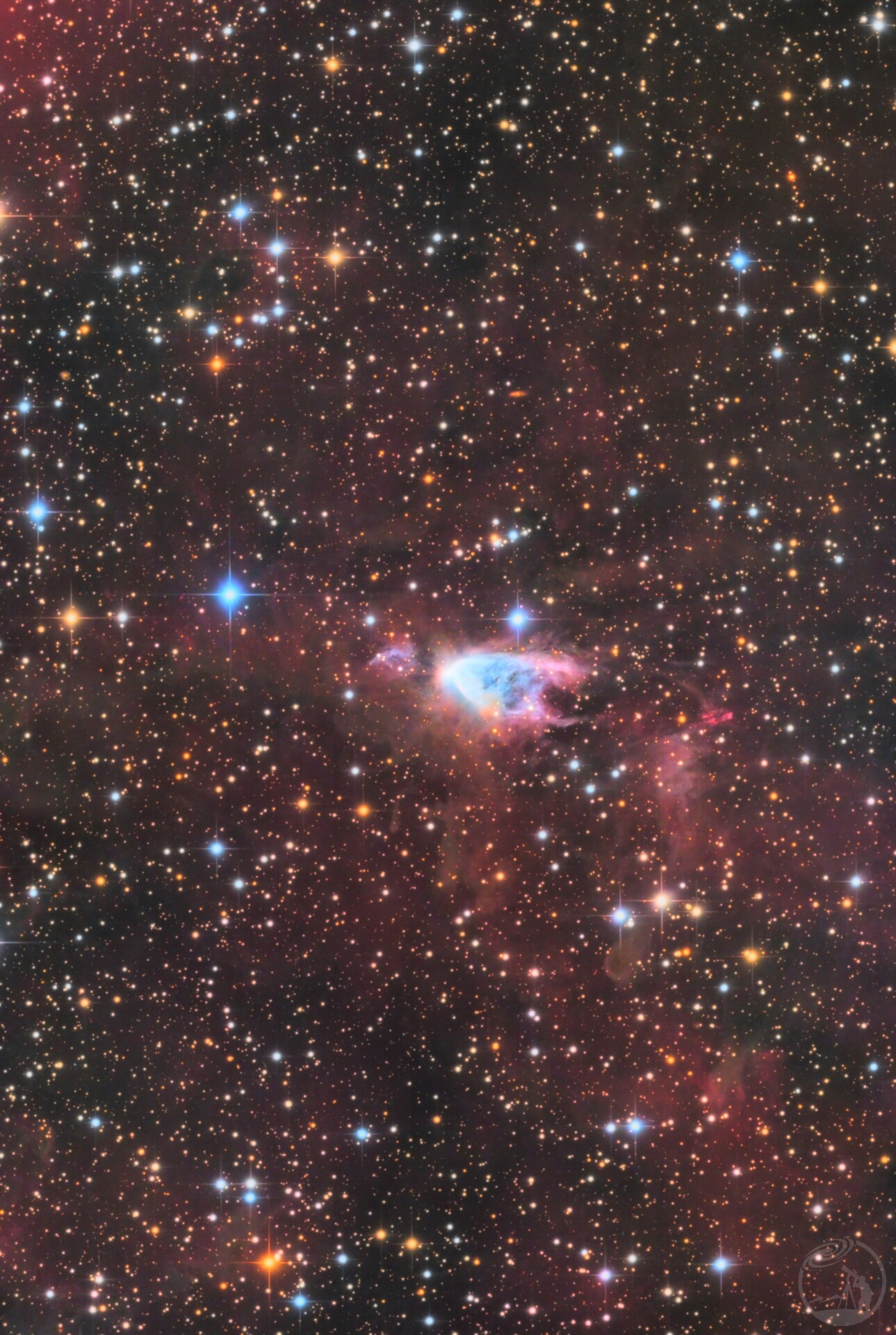 NGC2261/神仙鱼星云