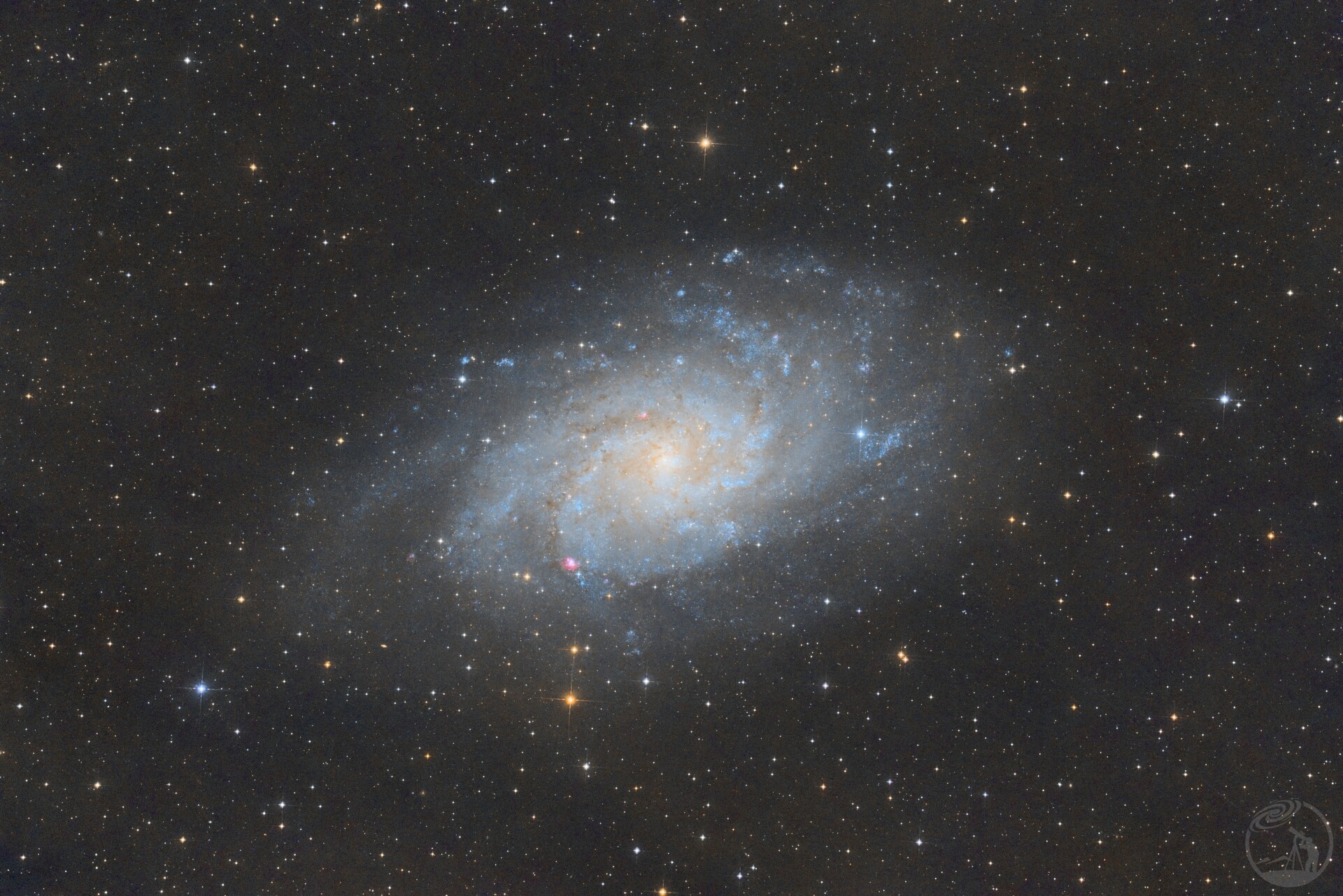 M33