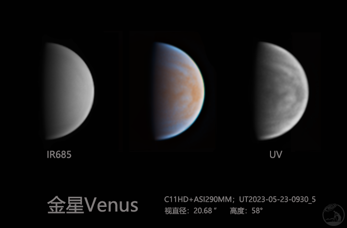 金星