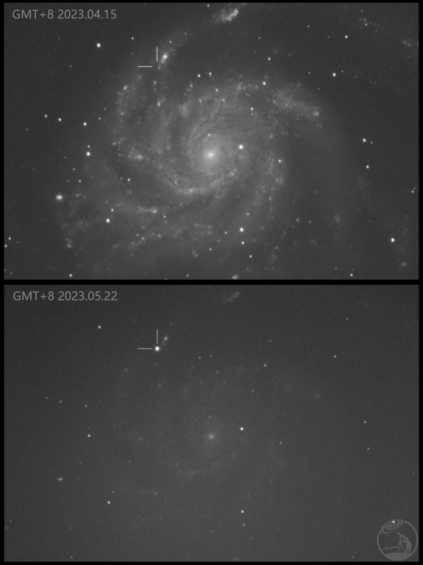 M101超新星对比