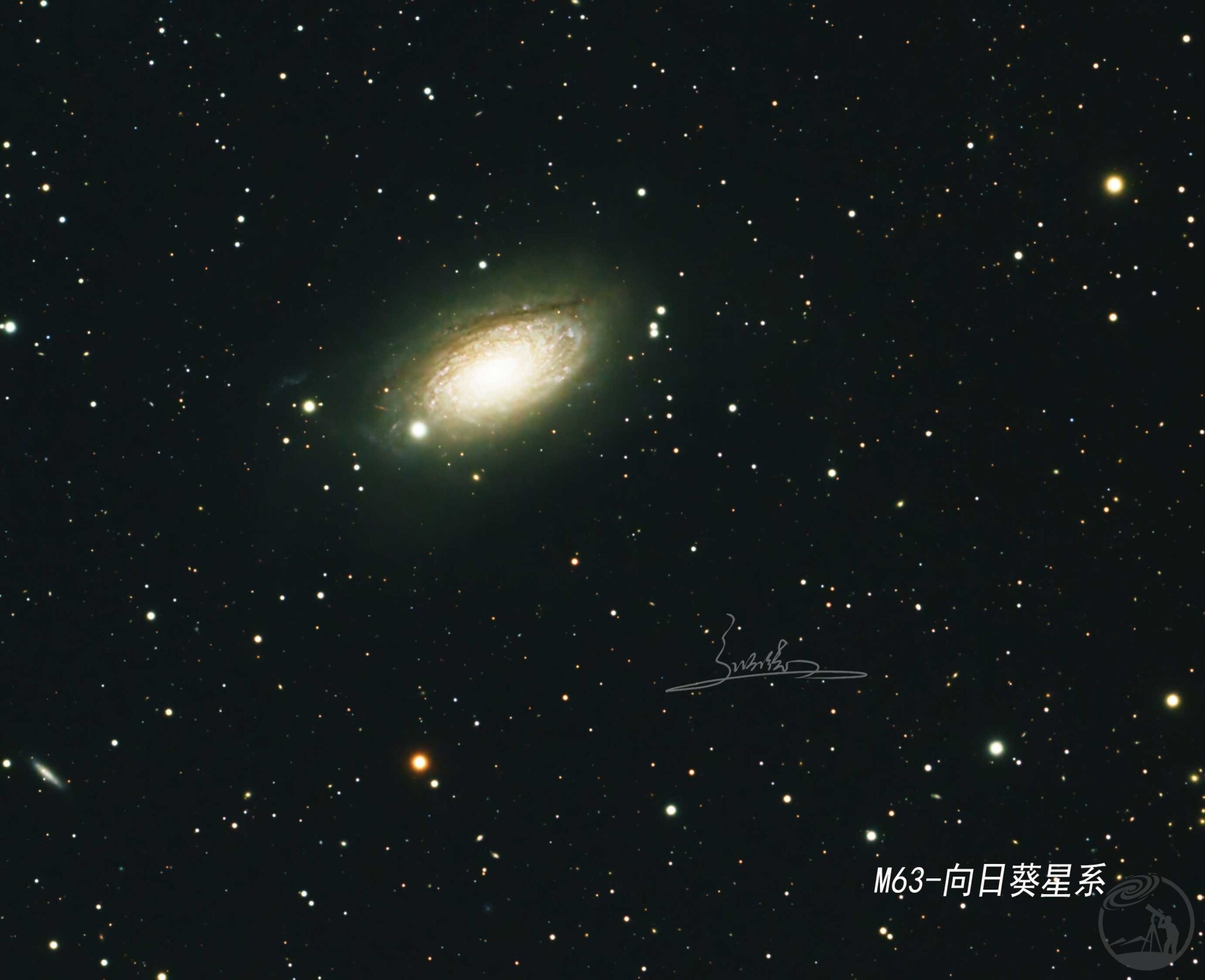 M63 向日葵星系