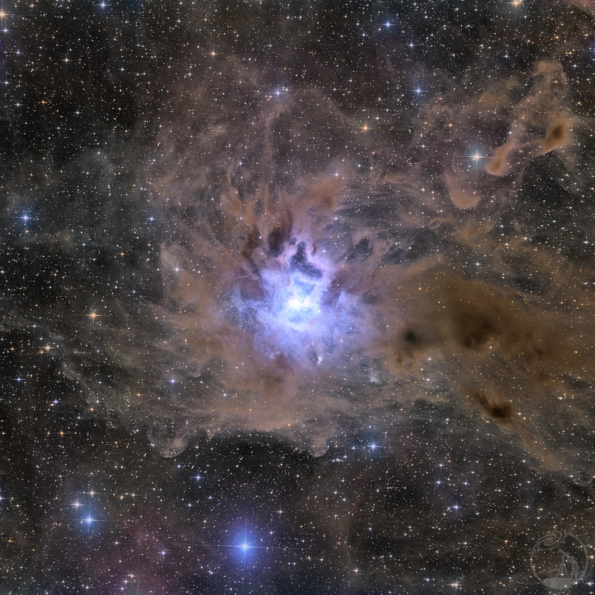 NGC7023/鸢尾花