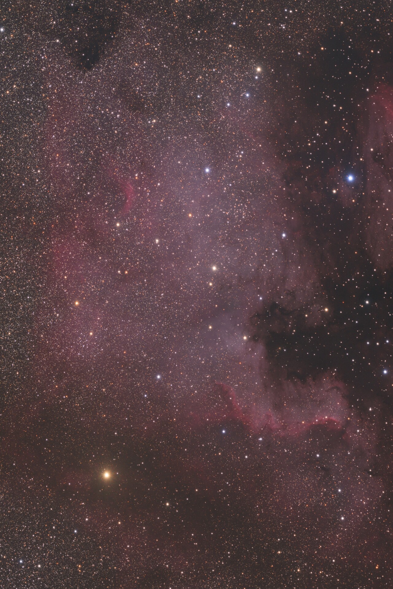 NGC7000酱油