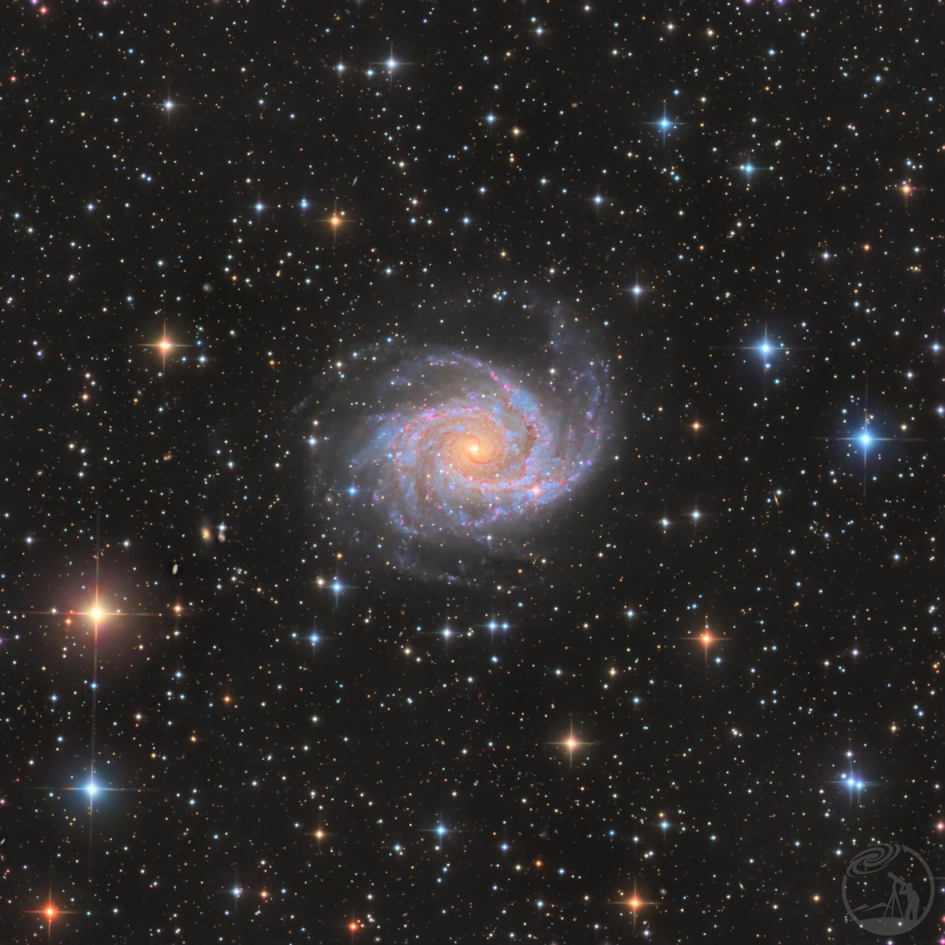NGC2997卷心菜星系