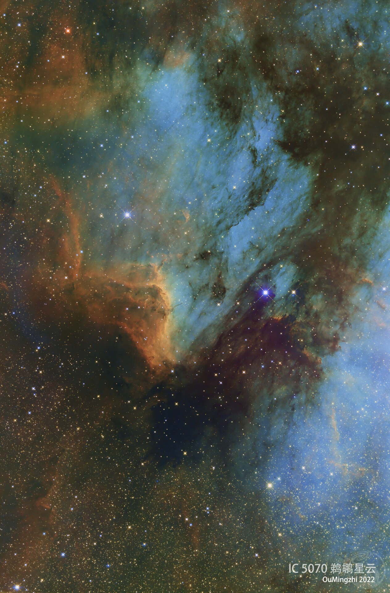 IC5070鹈鹕星云