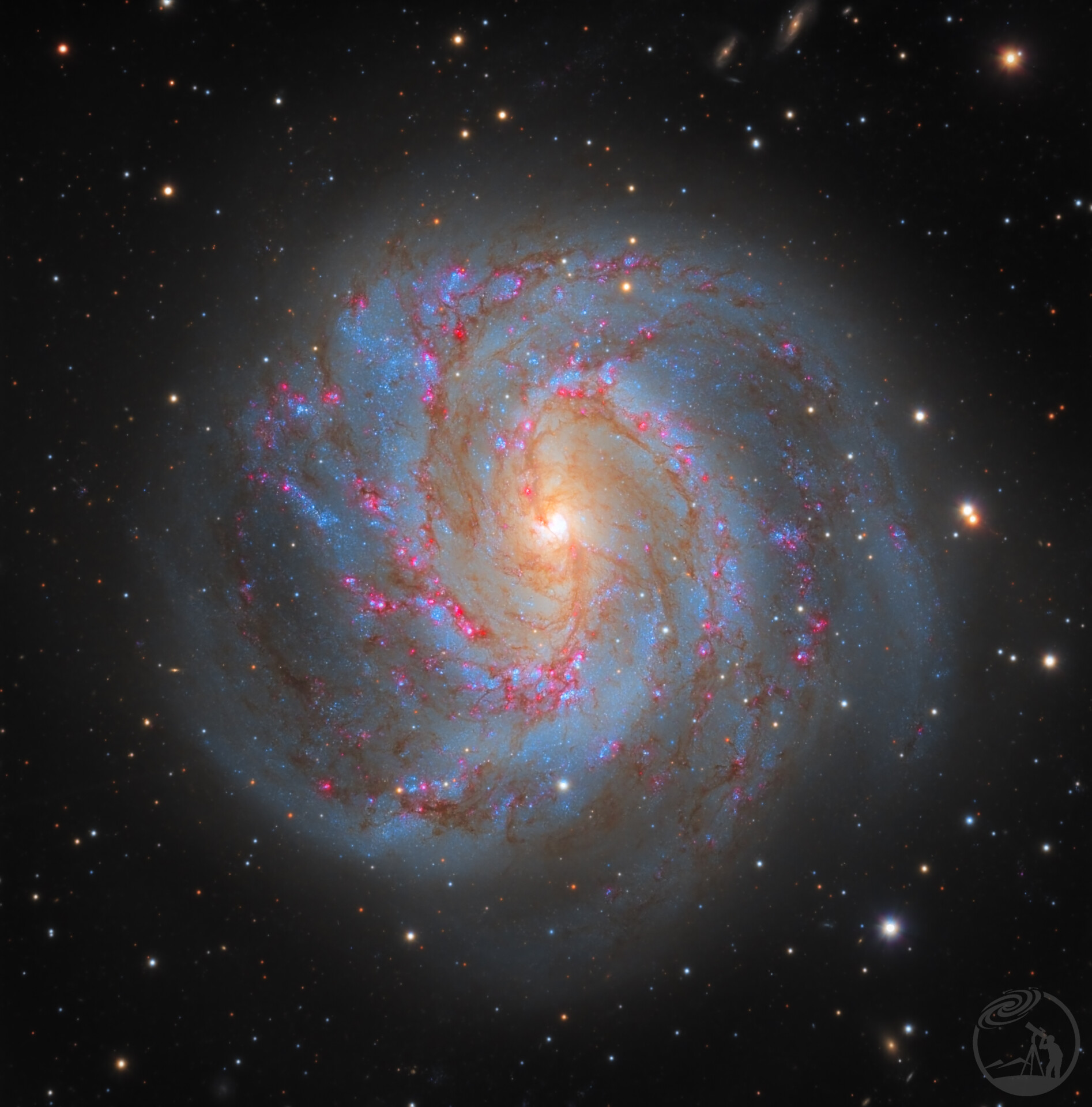 M83