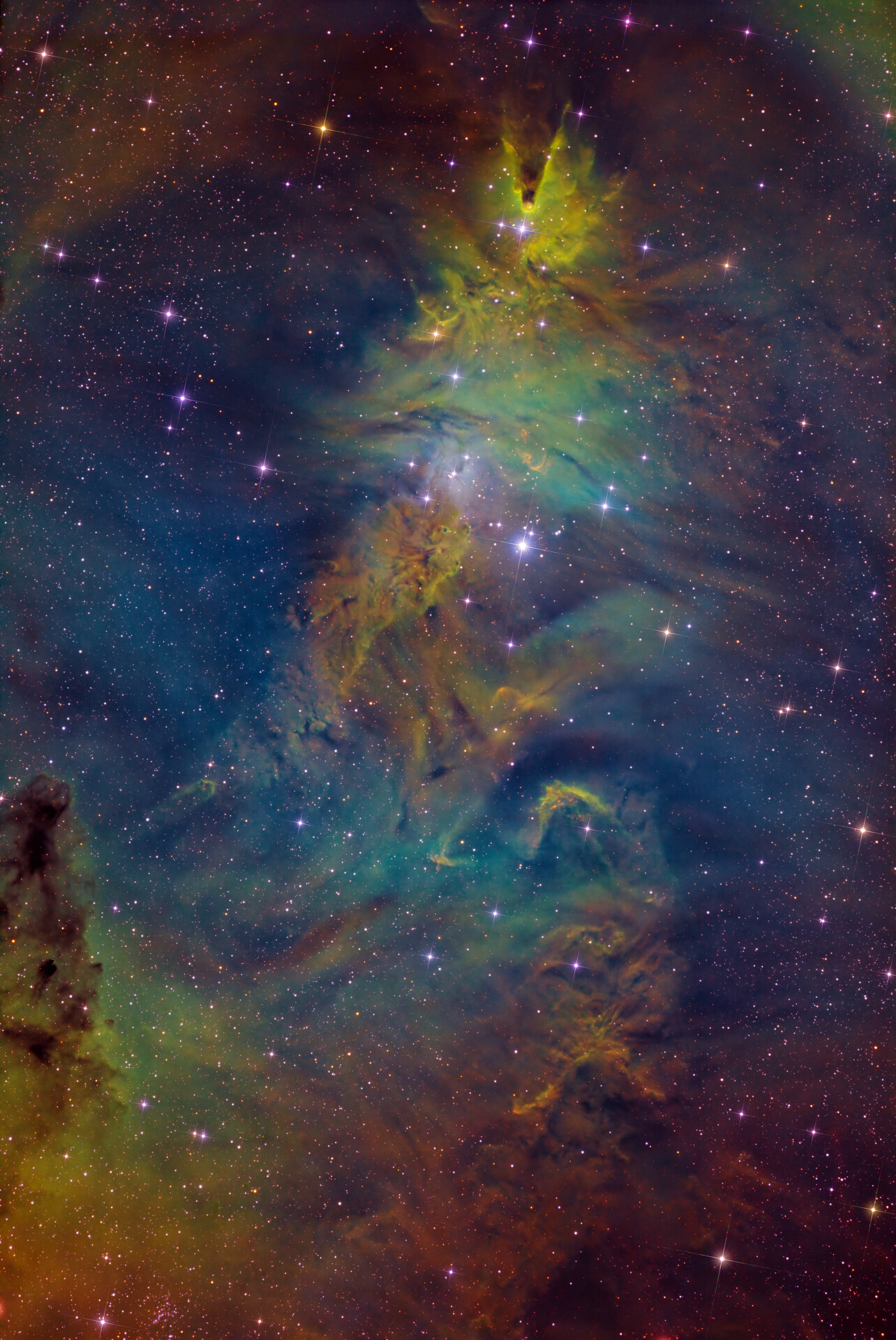 圣诞树星云 NGC2264