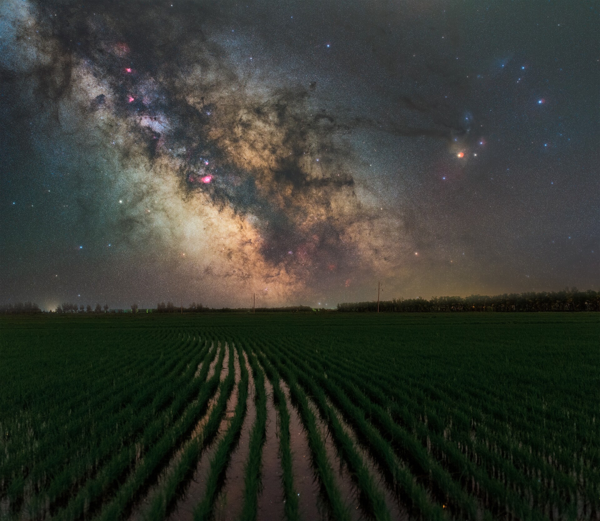 稻田星空