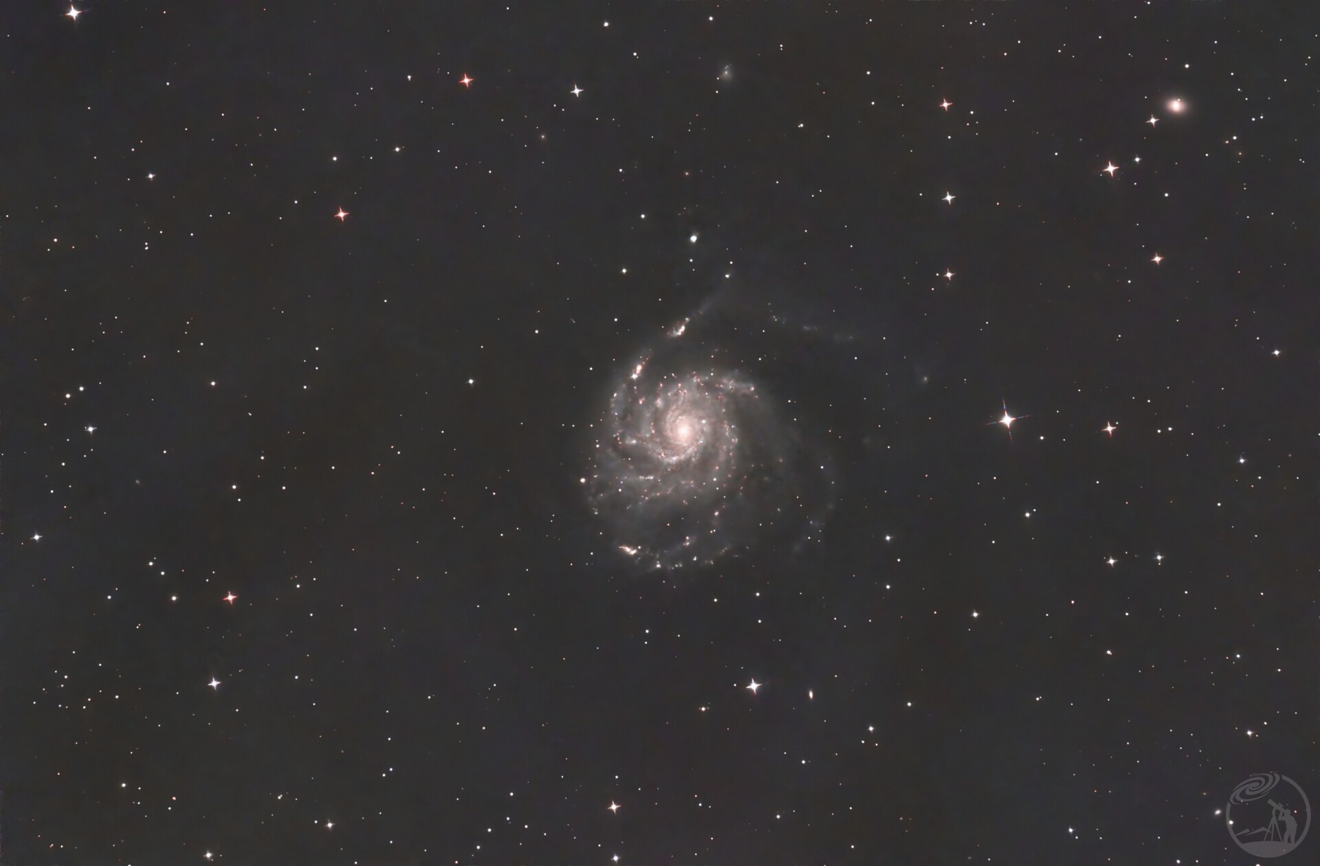 M101和它的超新星