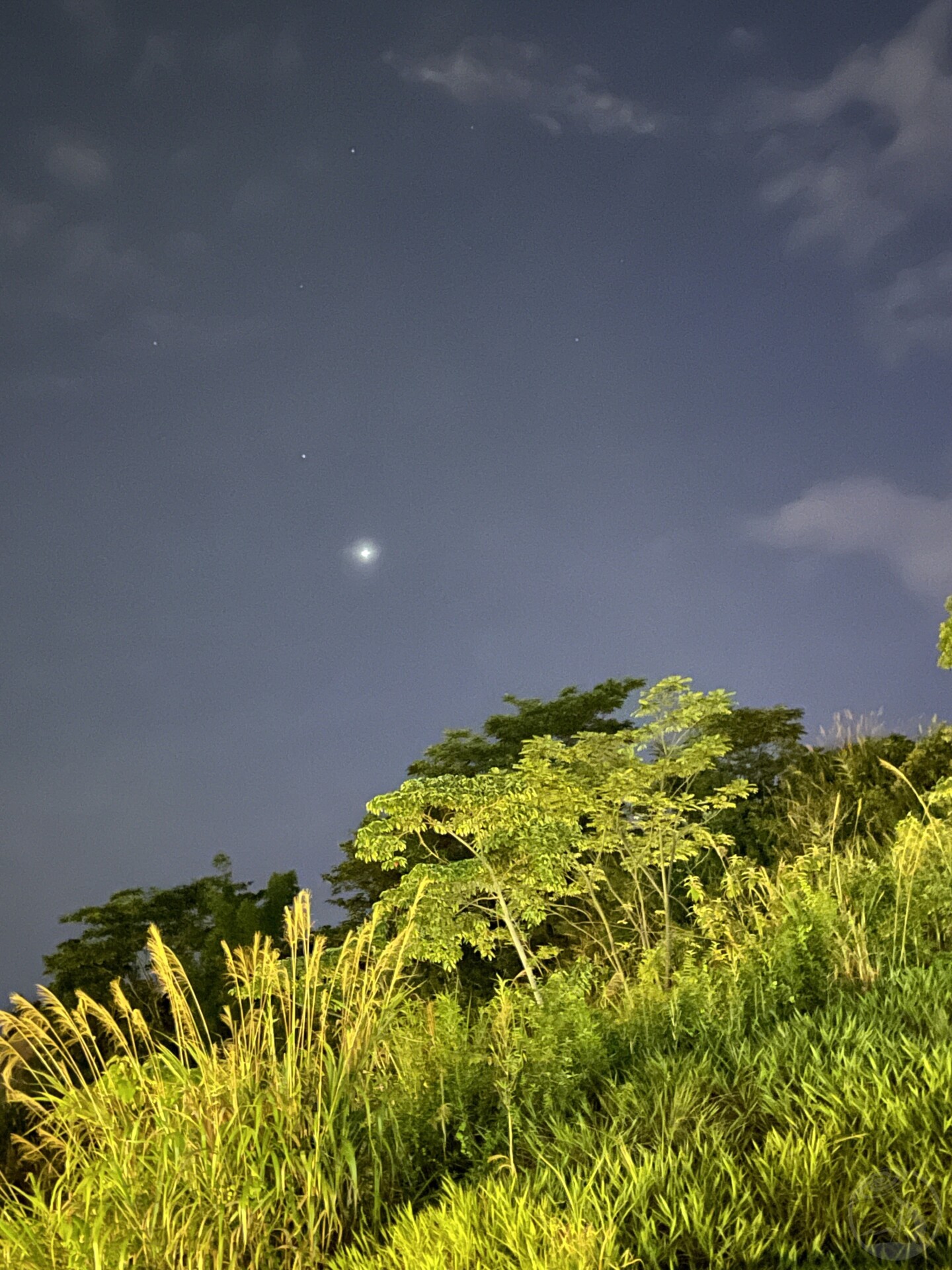 金星