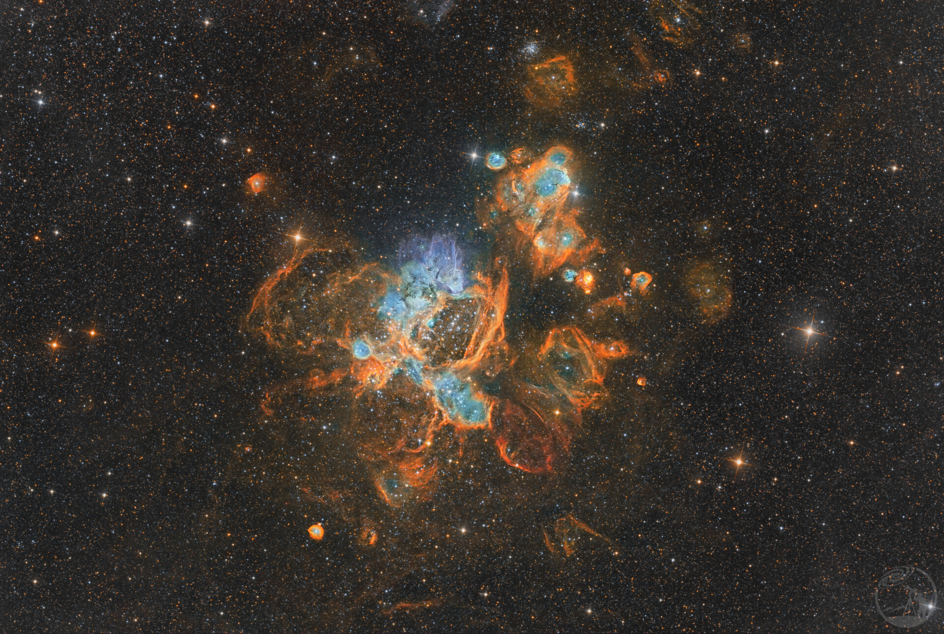 Ｎ44