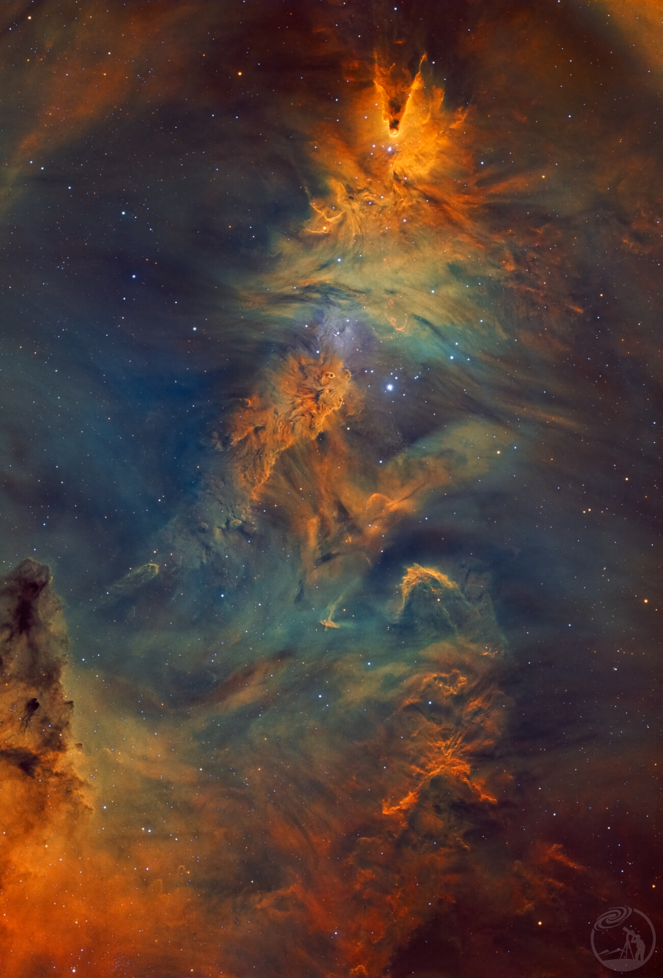 NGC2264圣诞树星云🎄