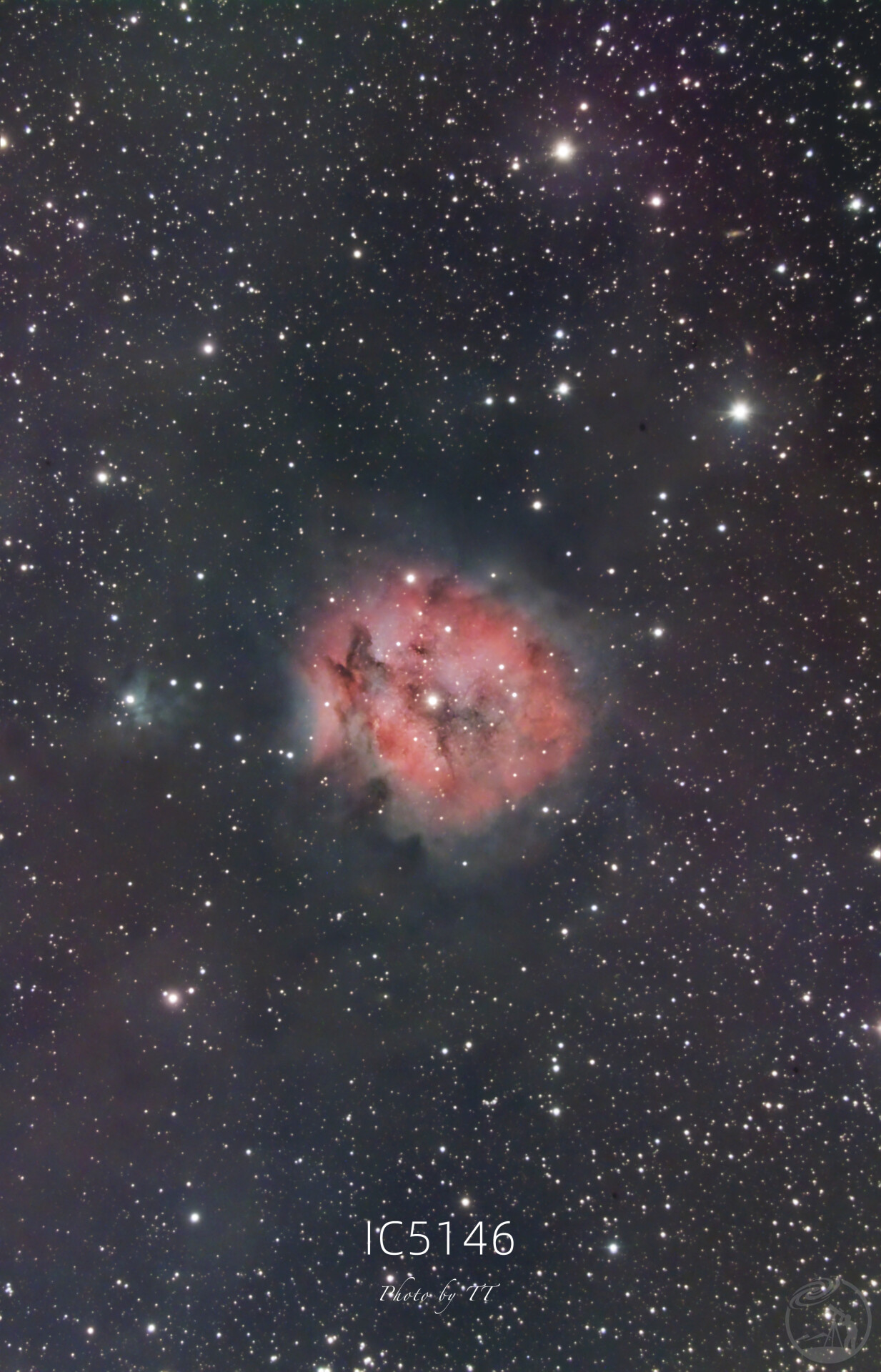 IC5146