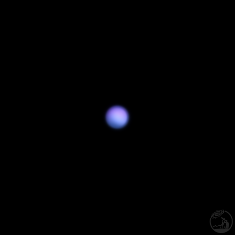 百事可乐味的海王星