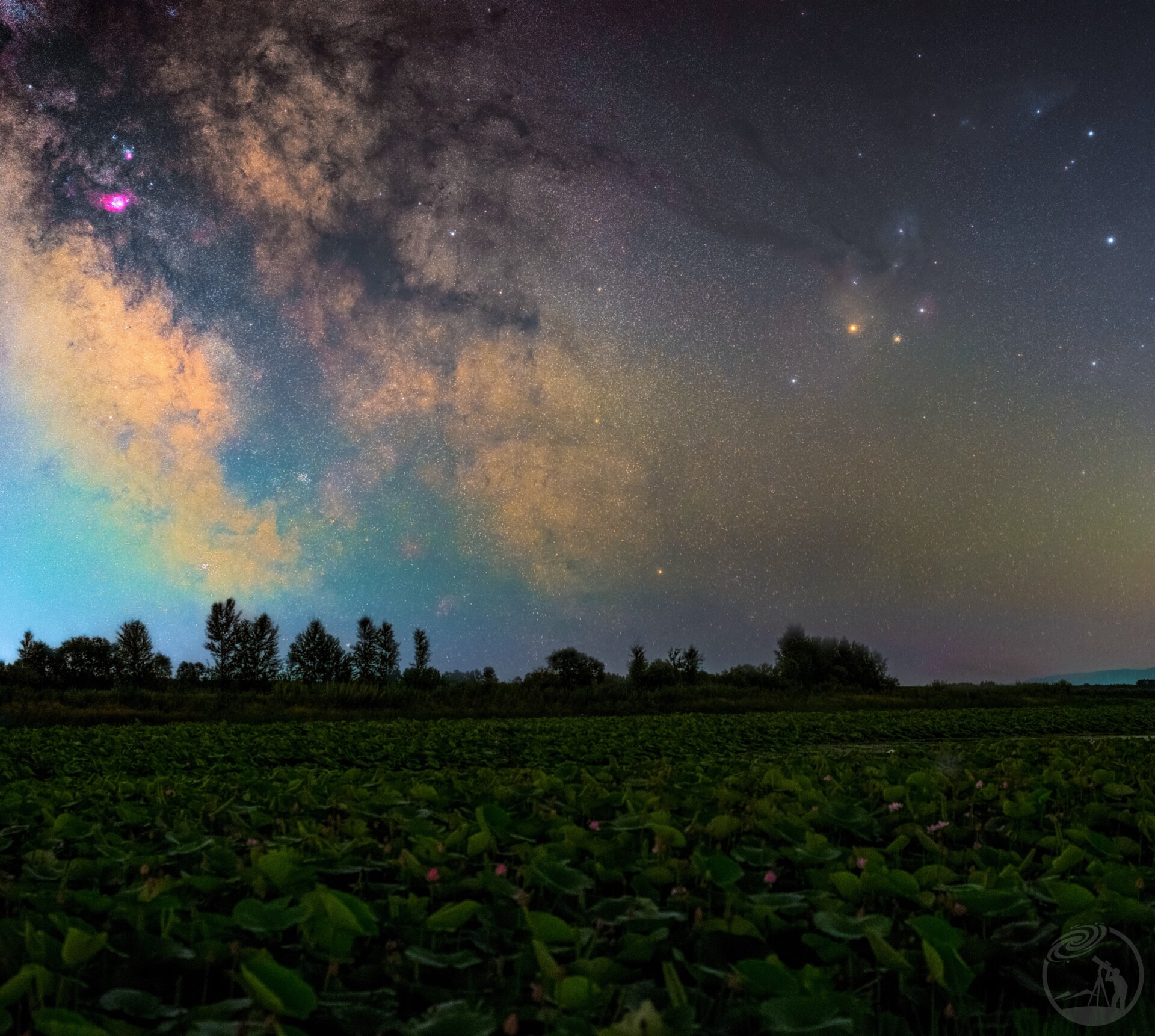 星荷