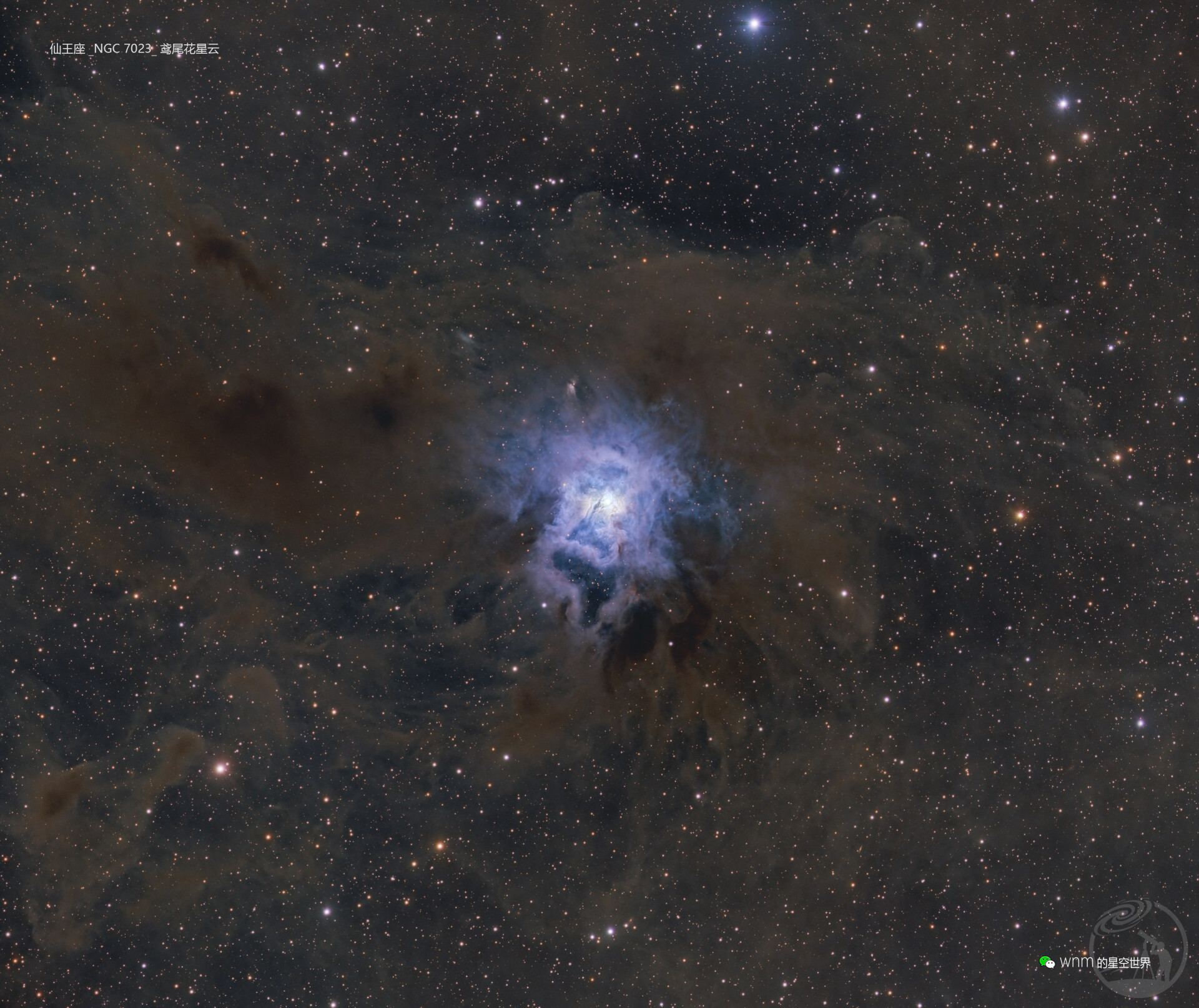 仙王座_NGC 7023_鸢尾花星云