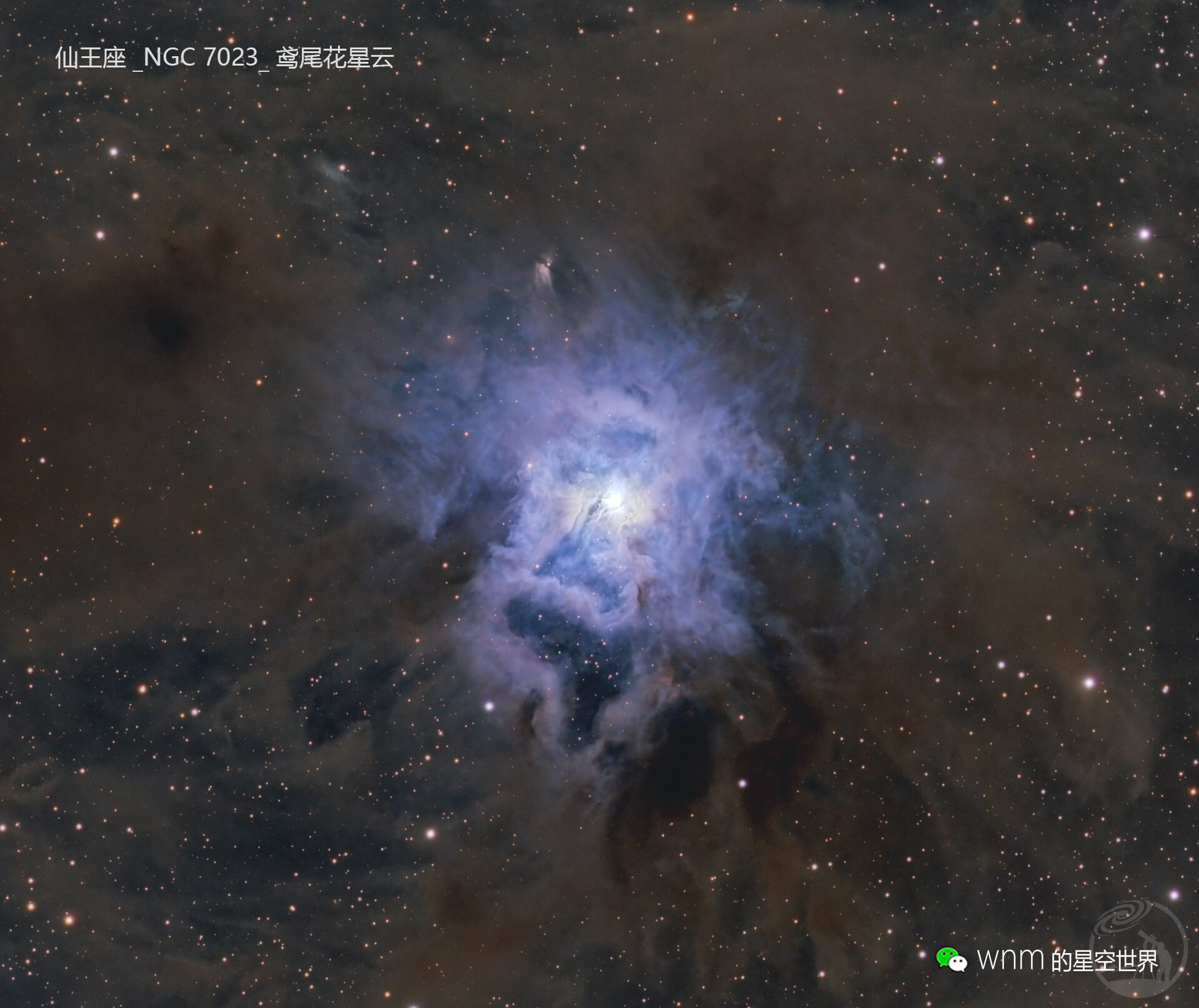 仙王座_NGC 7023_鸢尾花星云v2