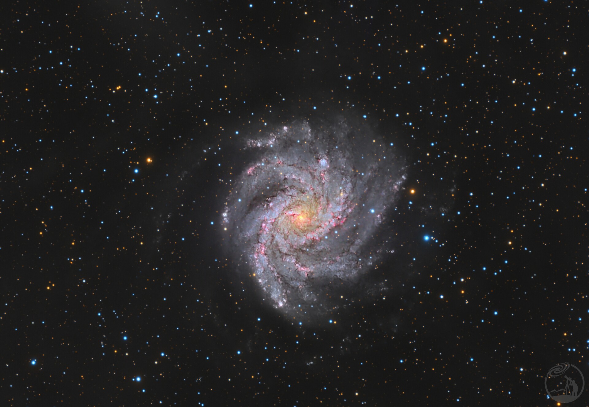 火焰星系—NGC6946