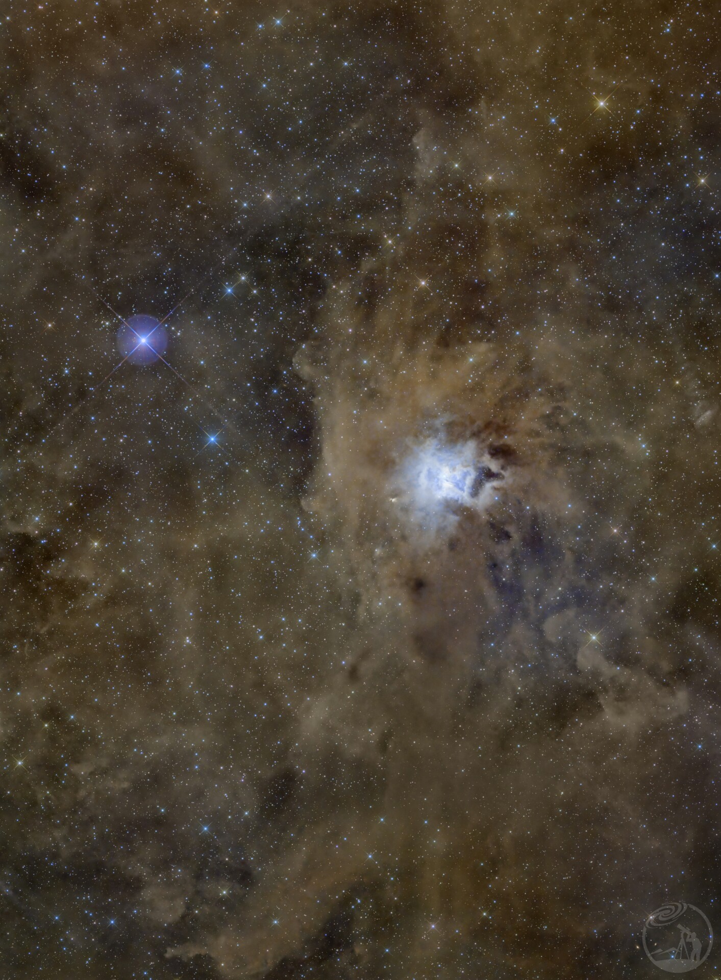 NGC7023鸠尾花