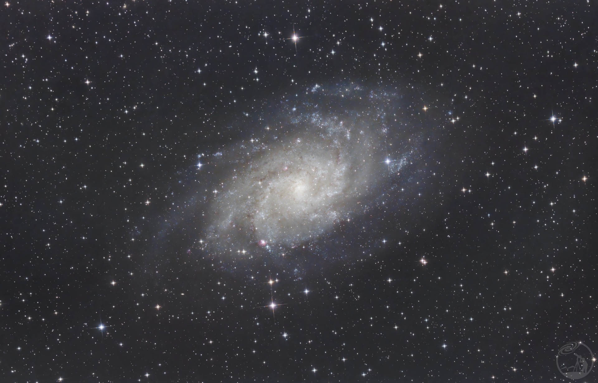 M33