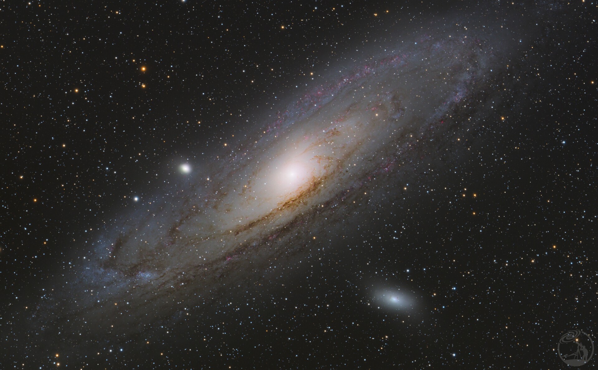 M31