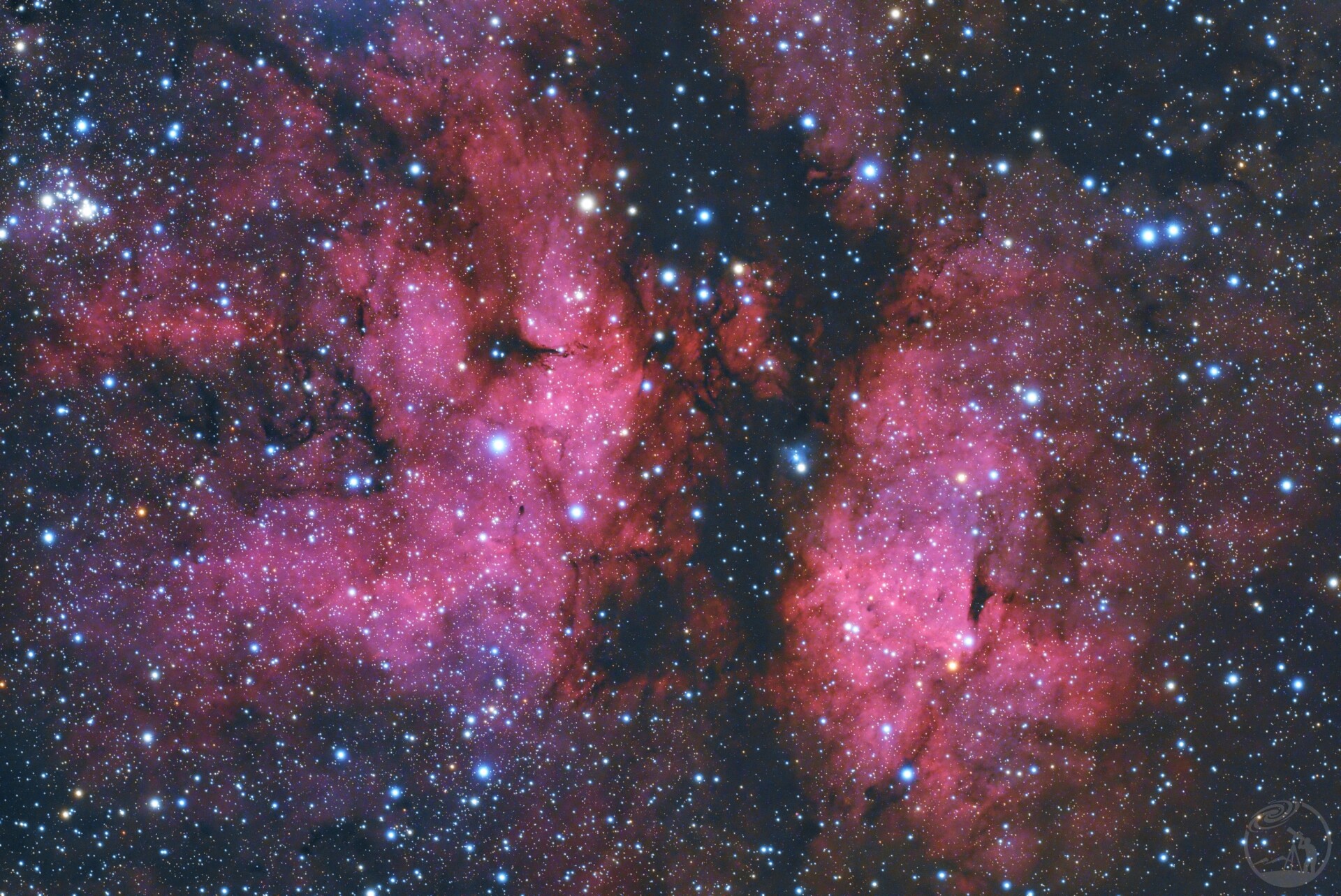 IC1318蝴蝶星云