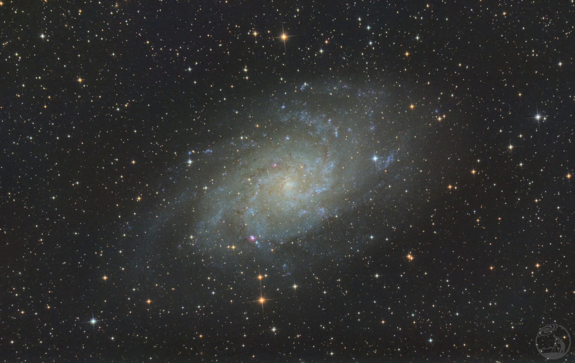 M33