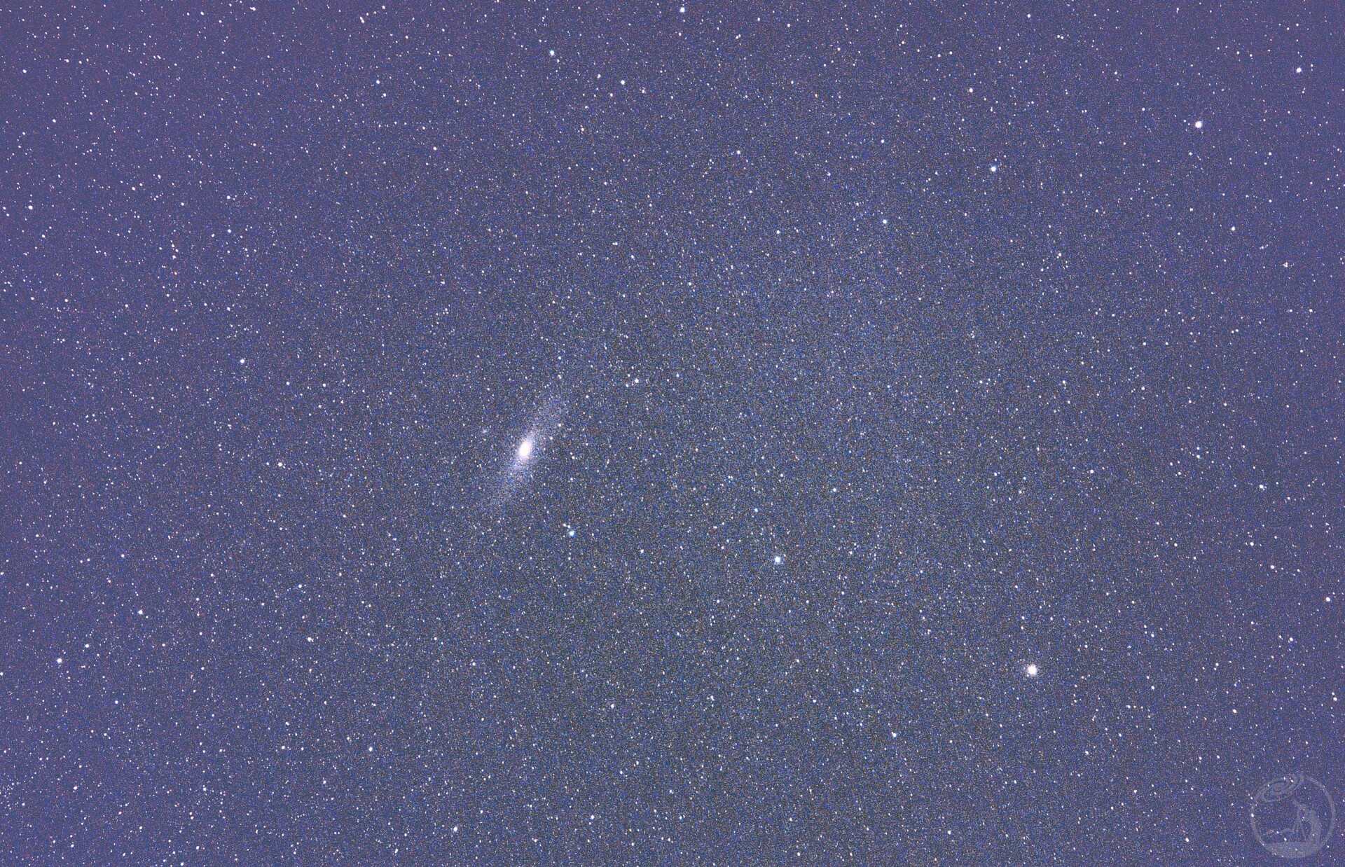 M31