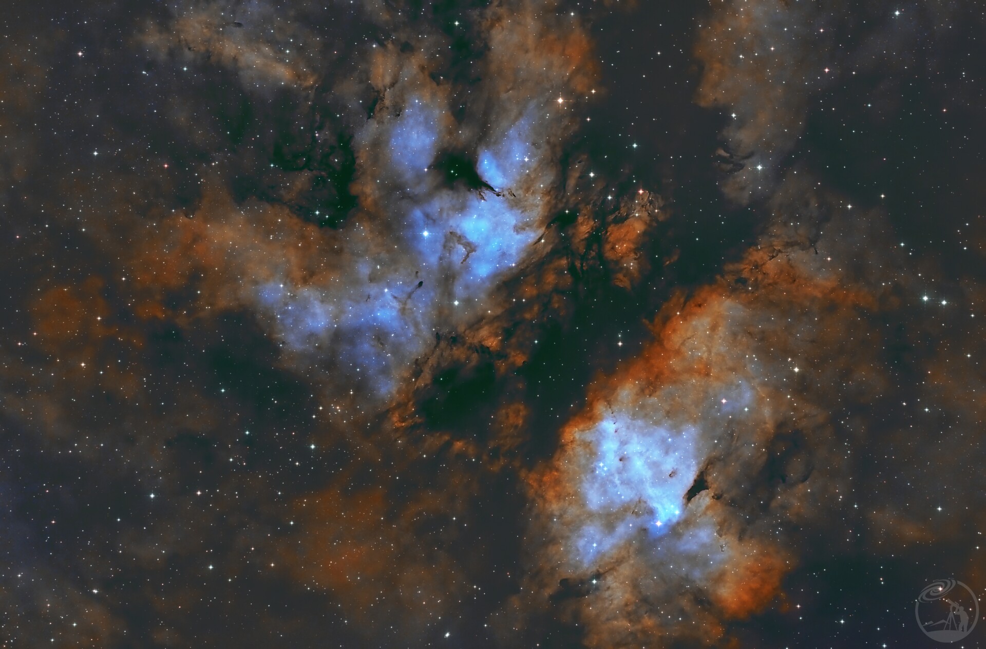 IC1318 蝴蝶星云