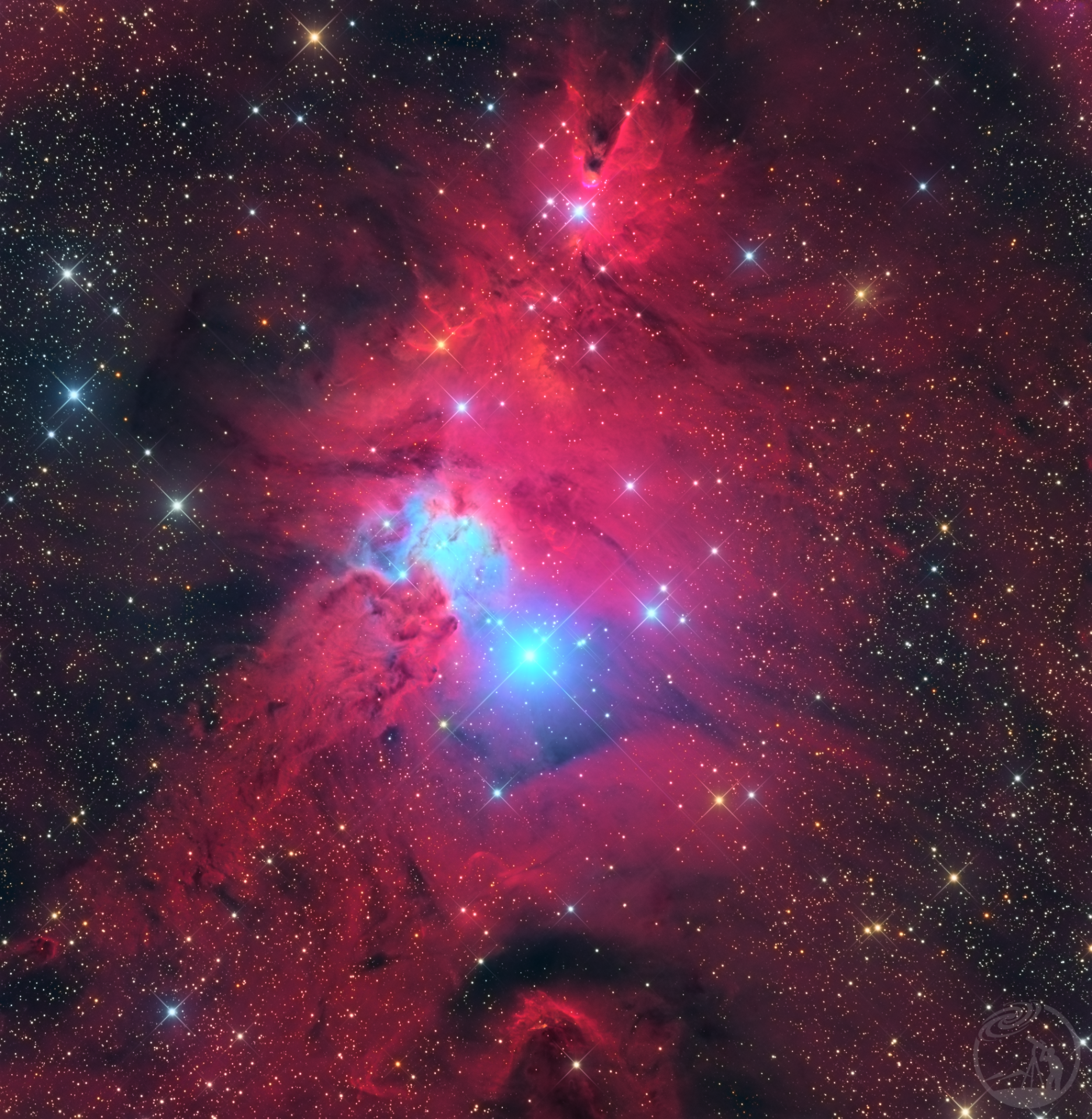 NGC2264/圣诞树星云