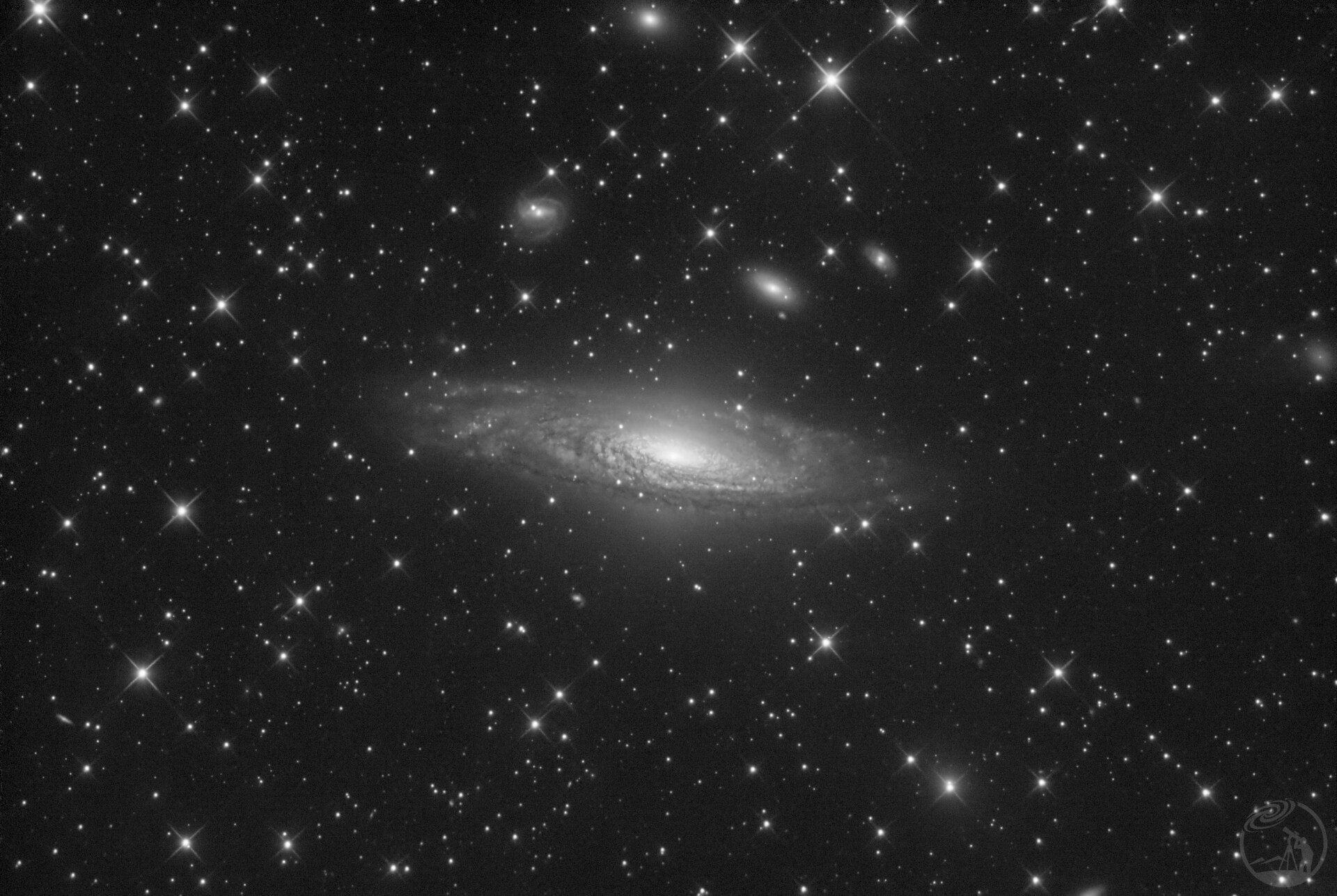 NGC7331