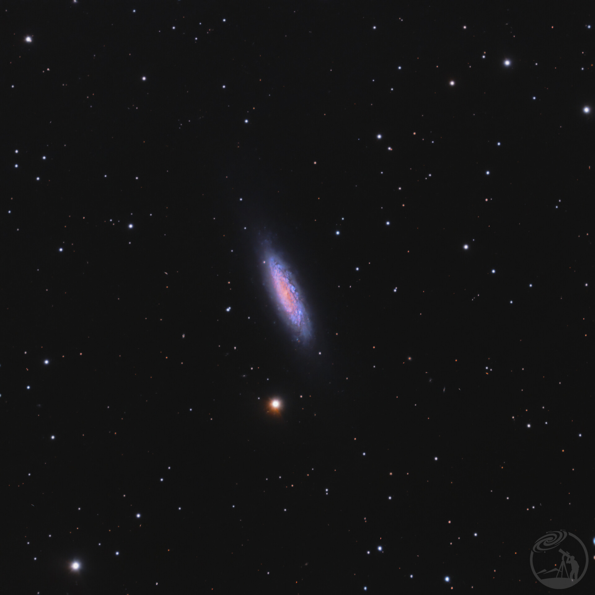 NGC6503-“失落”星系