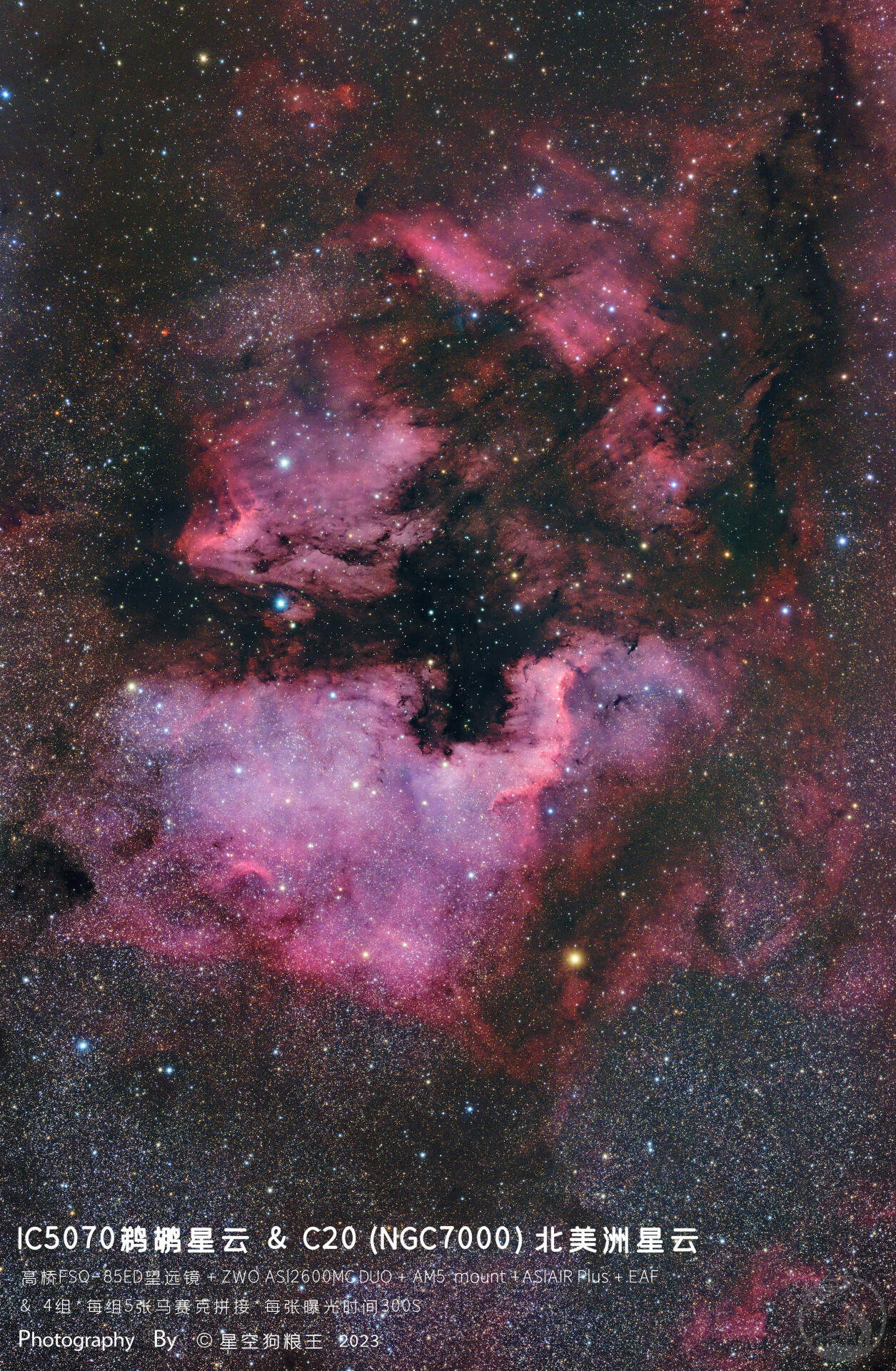IC5070鹈鹕星云 & C20(NGC7000)北美洲星云